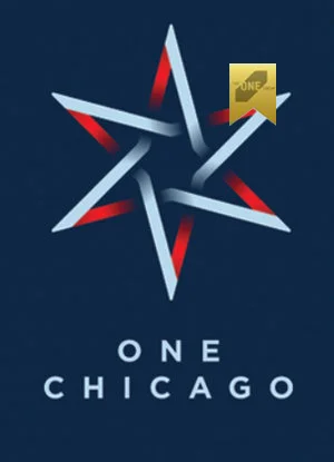 one+chicago+star GOLD.jpg