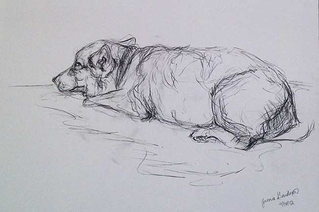 corgi4.jpg