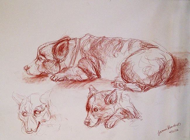 corgi5.jpg
