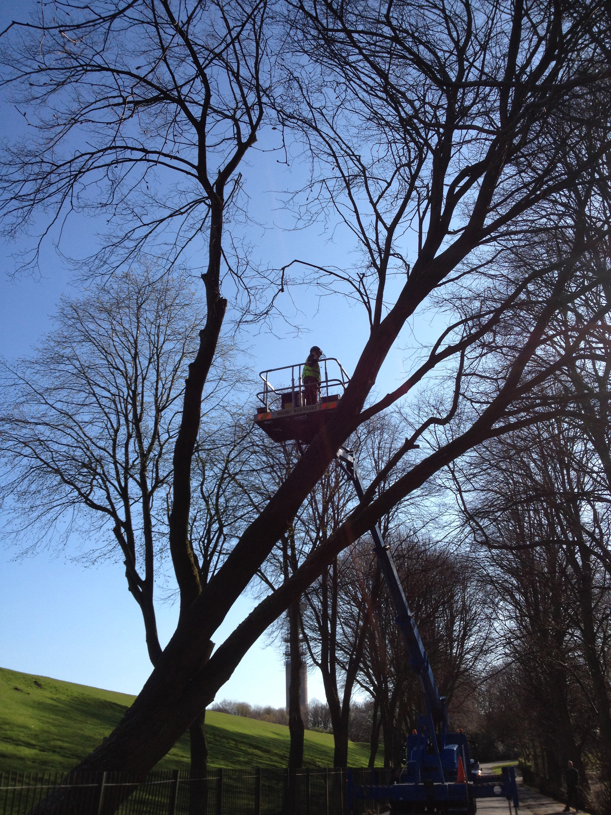 Arbortec Tree Specialists in Bolton