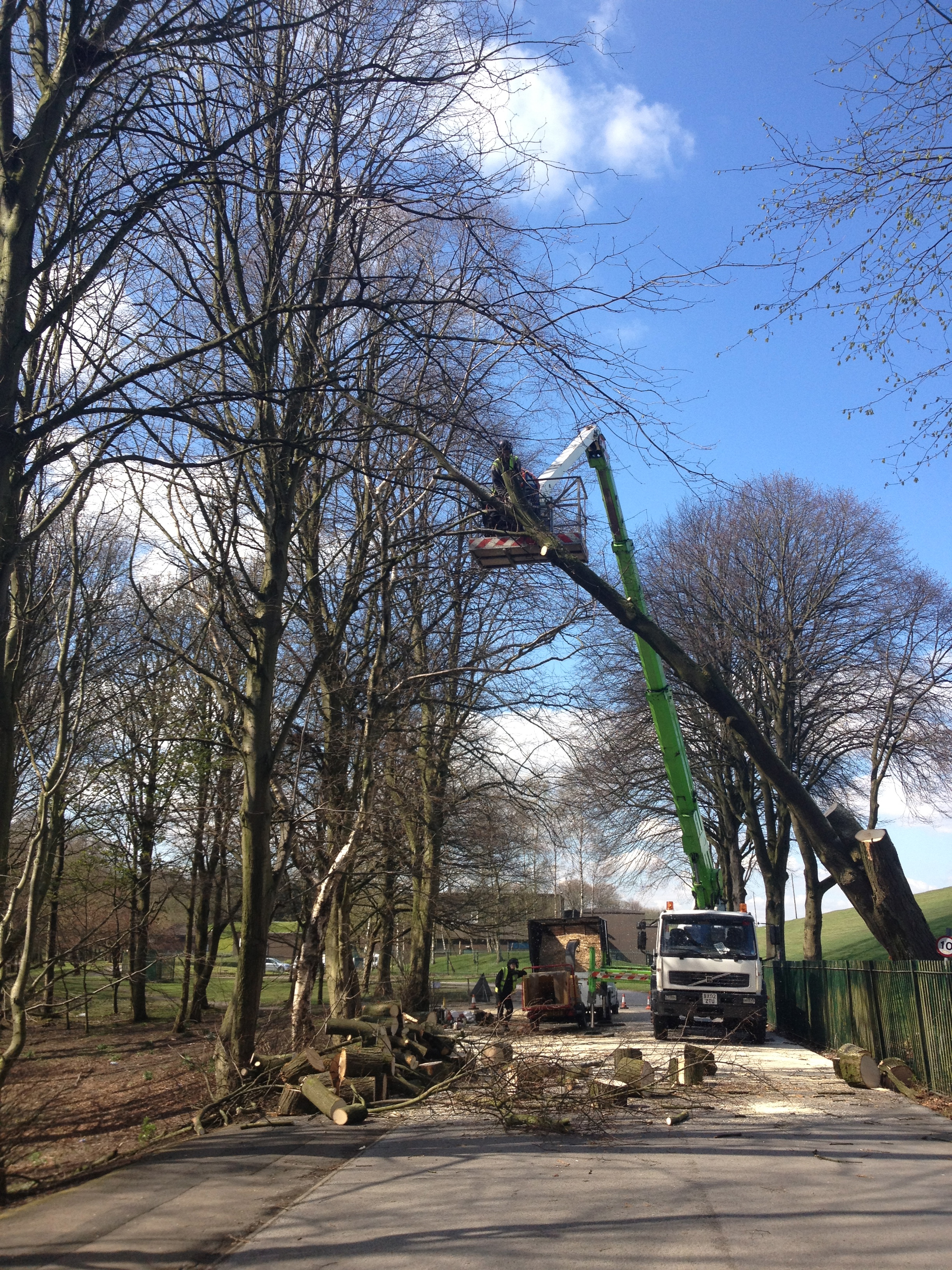 Arbortec Tree Specialists in Bolton