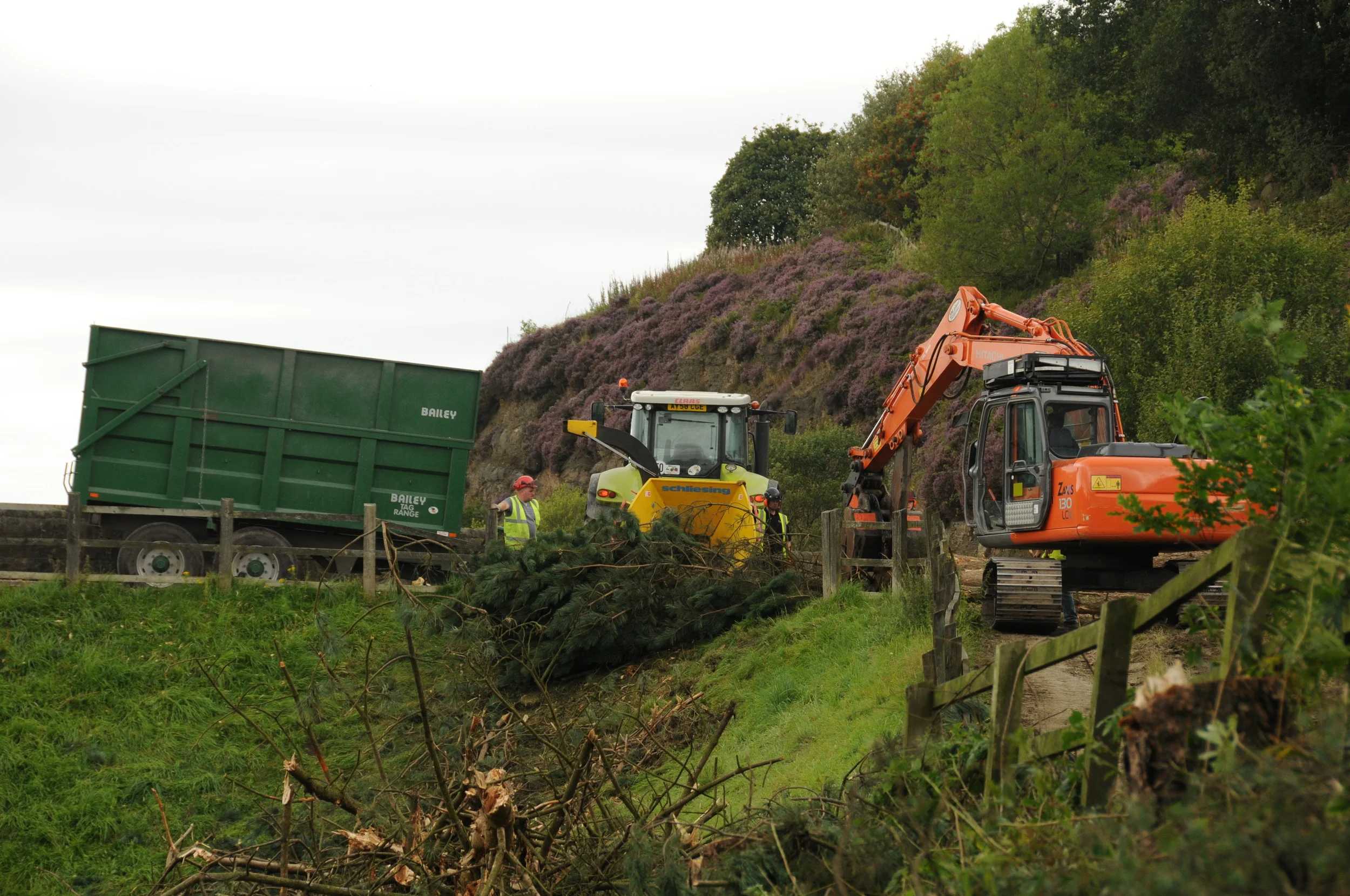 Arbrtec the Best Tree Surgeons in Bolton