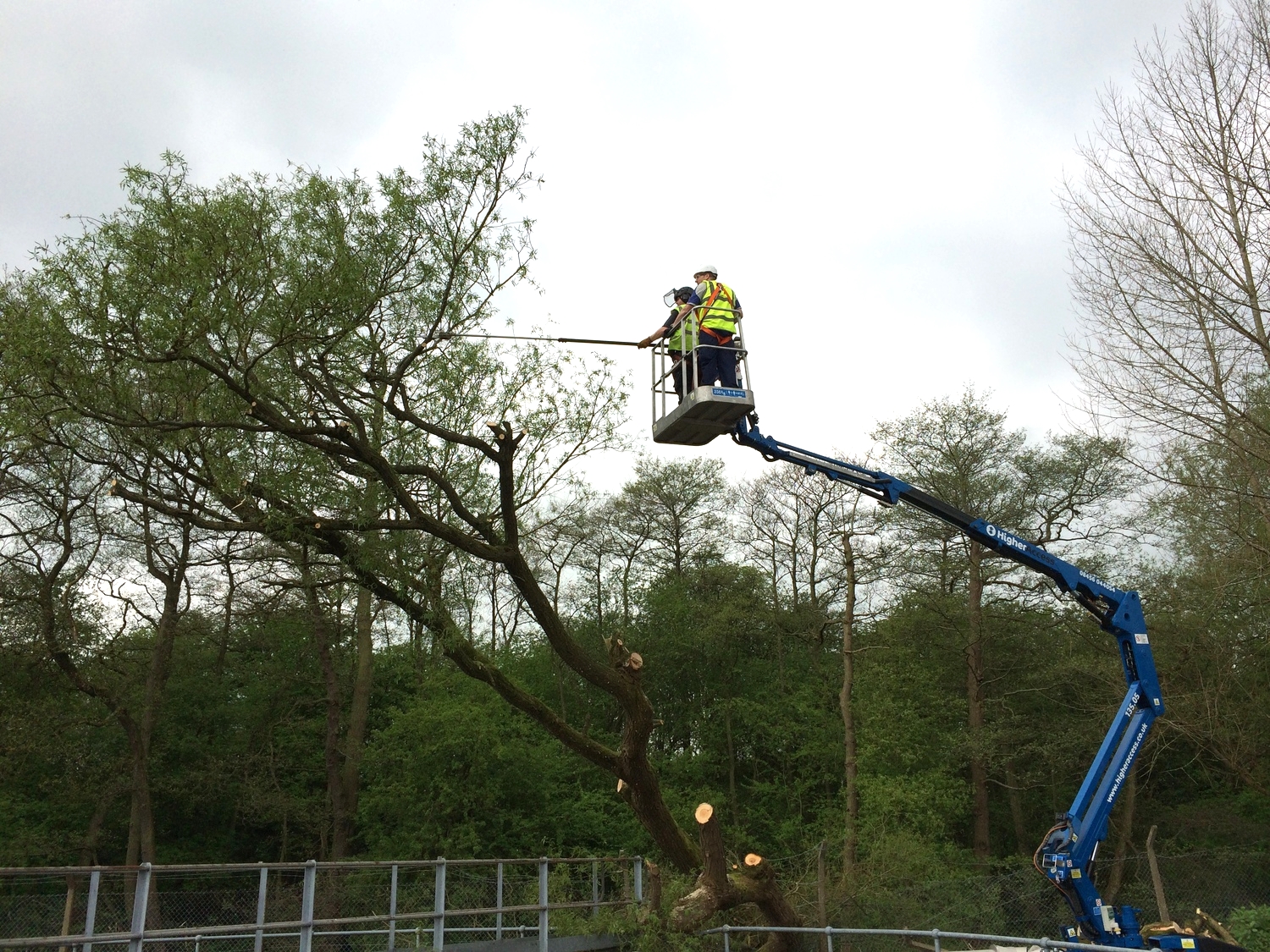 Arbortec Tree Specialists in Bolton