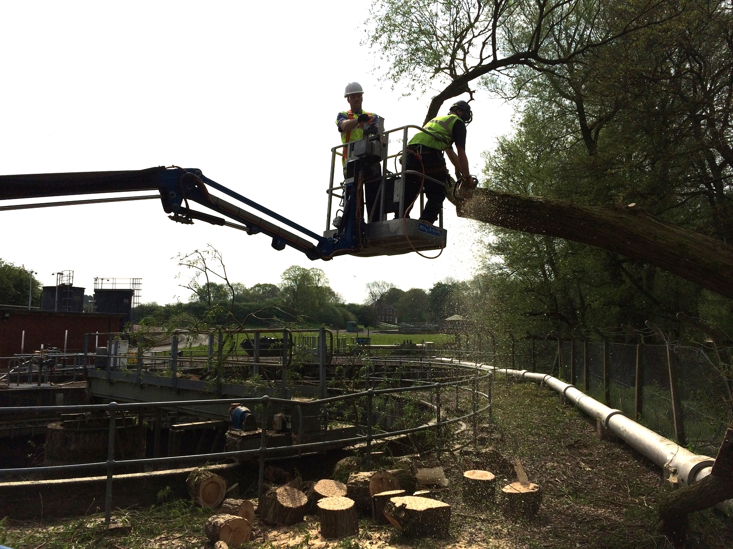 Arbortec Tree Specialists in Bolton