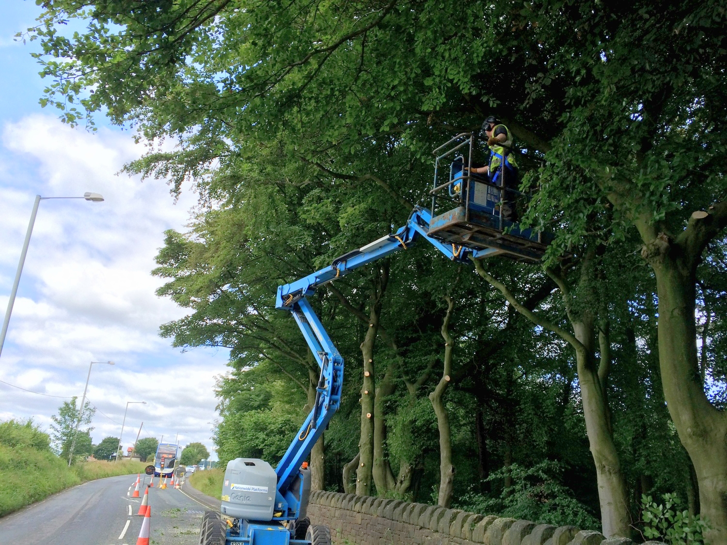 Arbortec Tree Surgeons BS3998 Crown Lifting