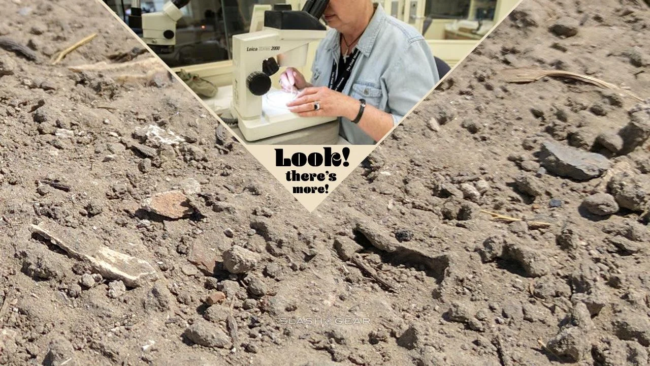The situation here was that dirt removed from the fossils that made up the T-Rex named Sue were analyzed a decade later. Inside the dirt, more awesome oddities were found. A couple of 45-degree angles and bold text call out the simplest part of the story. Also note: I didn’t have an image of the dirt used in the study, so I used some dirt from an old photo I’d taken - the difference between this dirt and that dirt was negligible for the purpose of this hero image - it was the creatures hidden inside that mattered most!