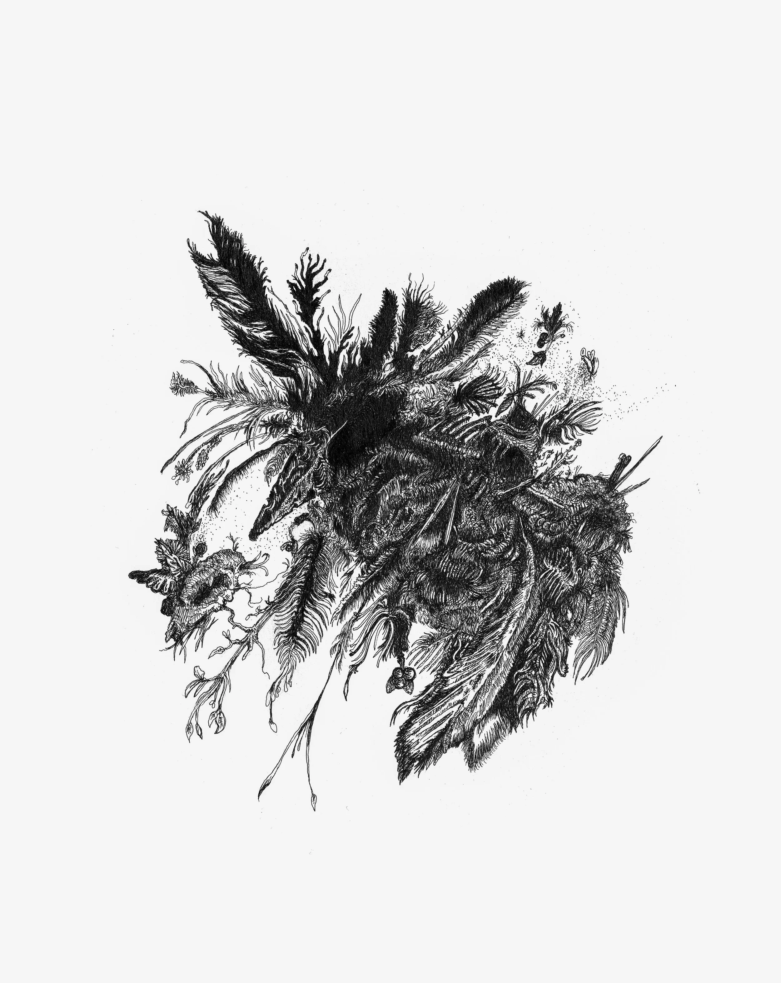Feather