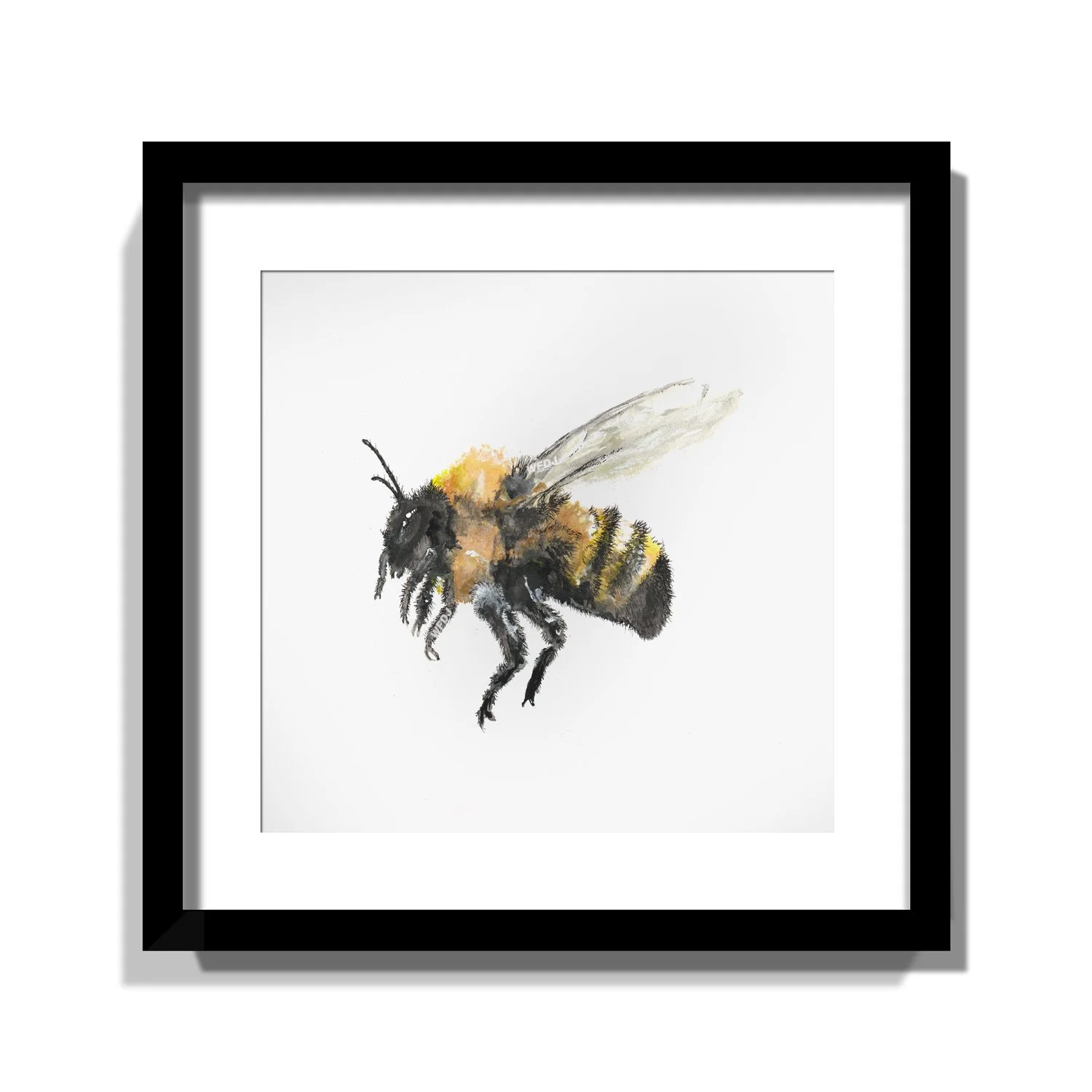 bee_88.jpg