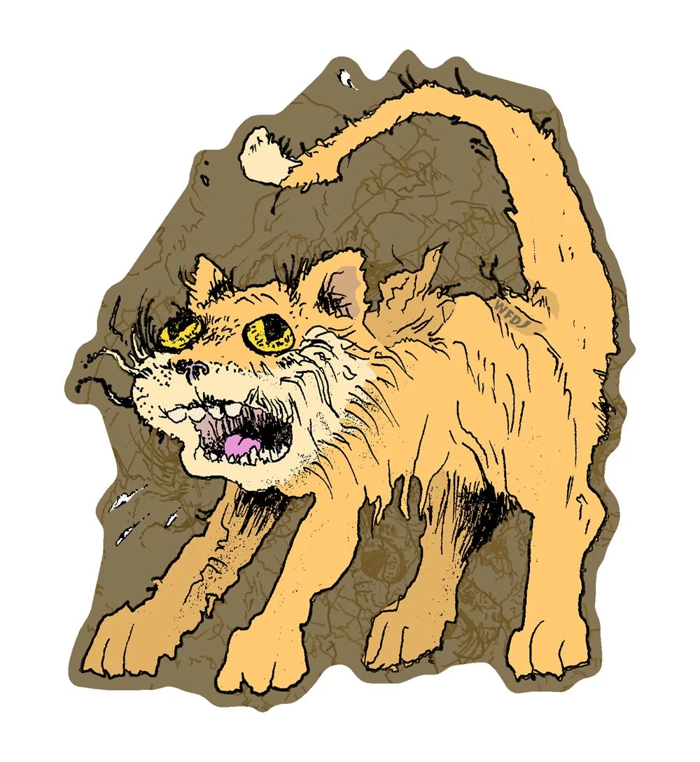 HYPER (CAT) [FAUNA 25]