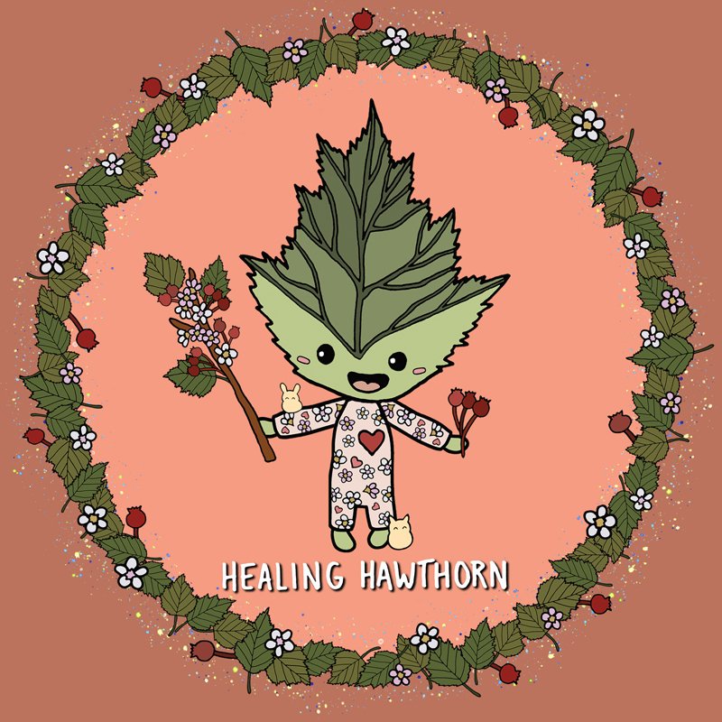 HEALING HAWTHORN_ICON.jpg