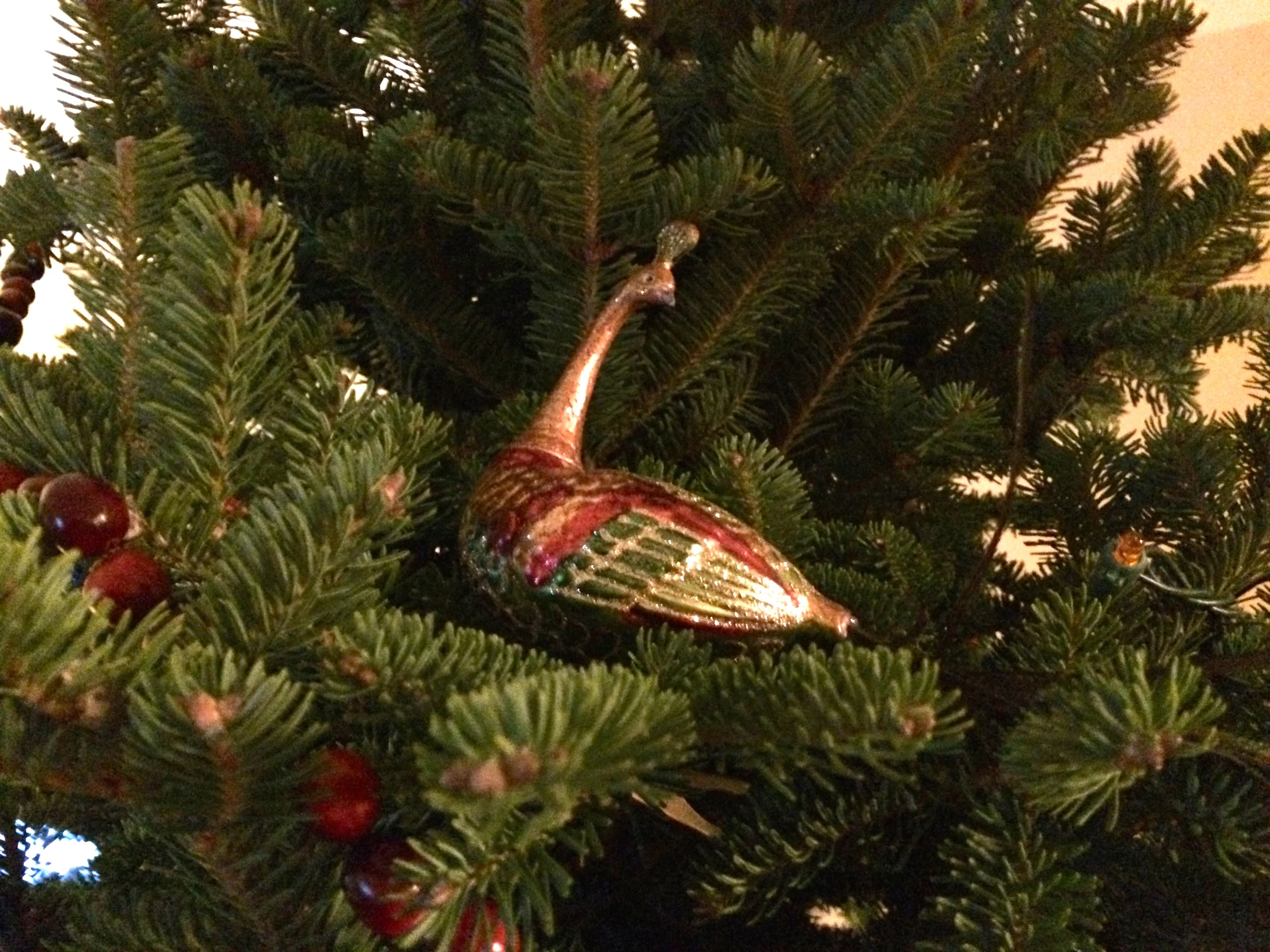 tree14.jpg