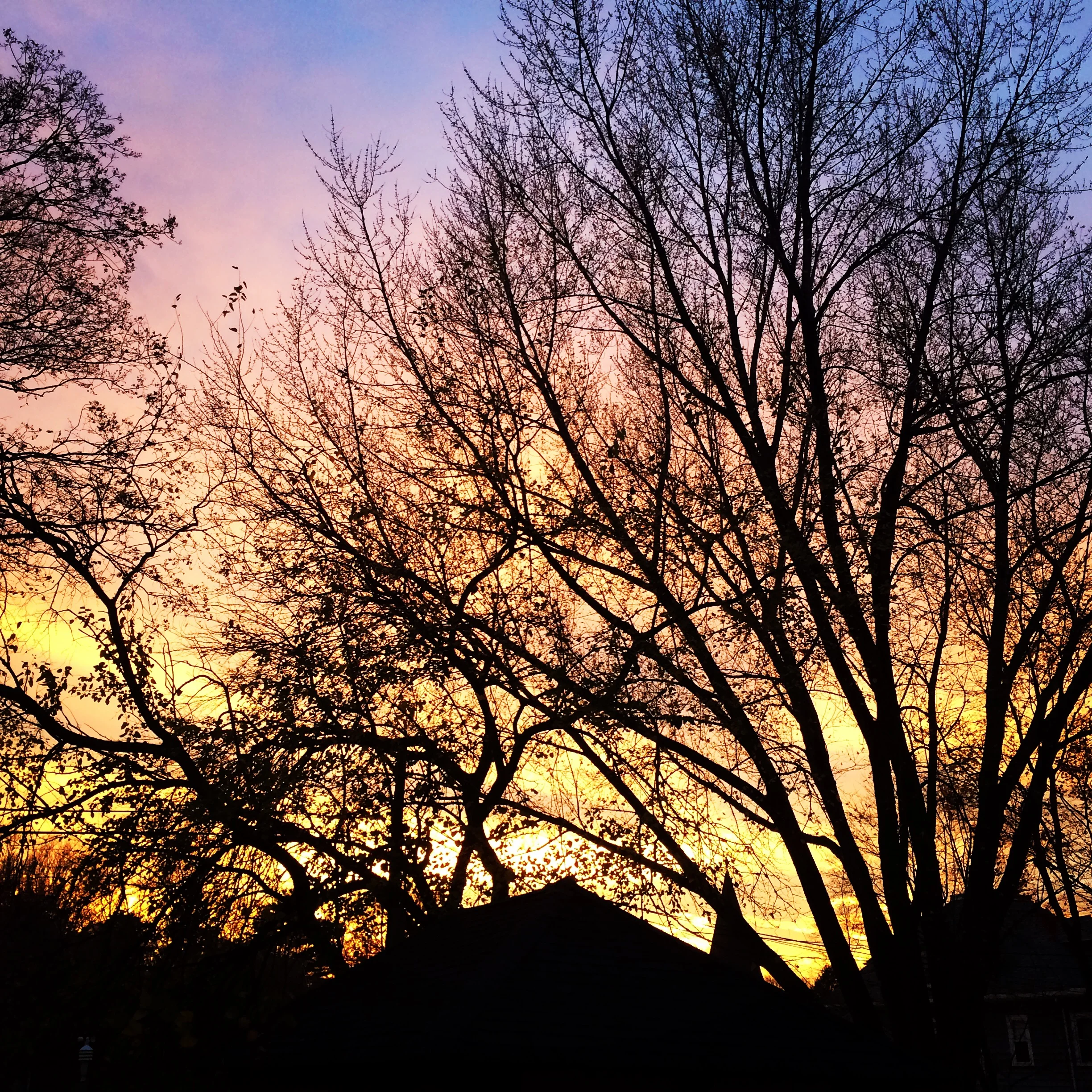 The Five on Fridays: Week 13 