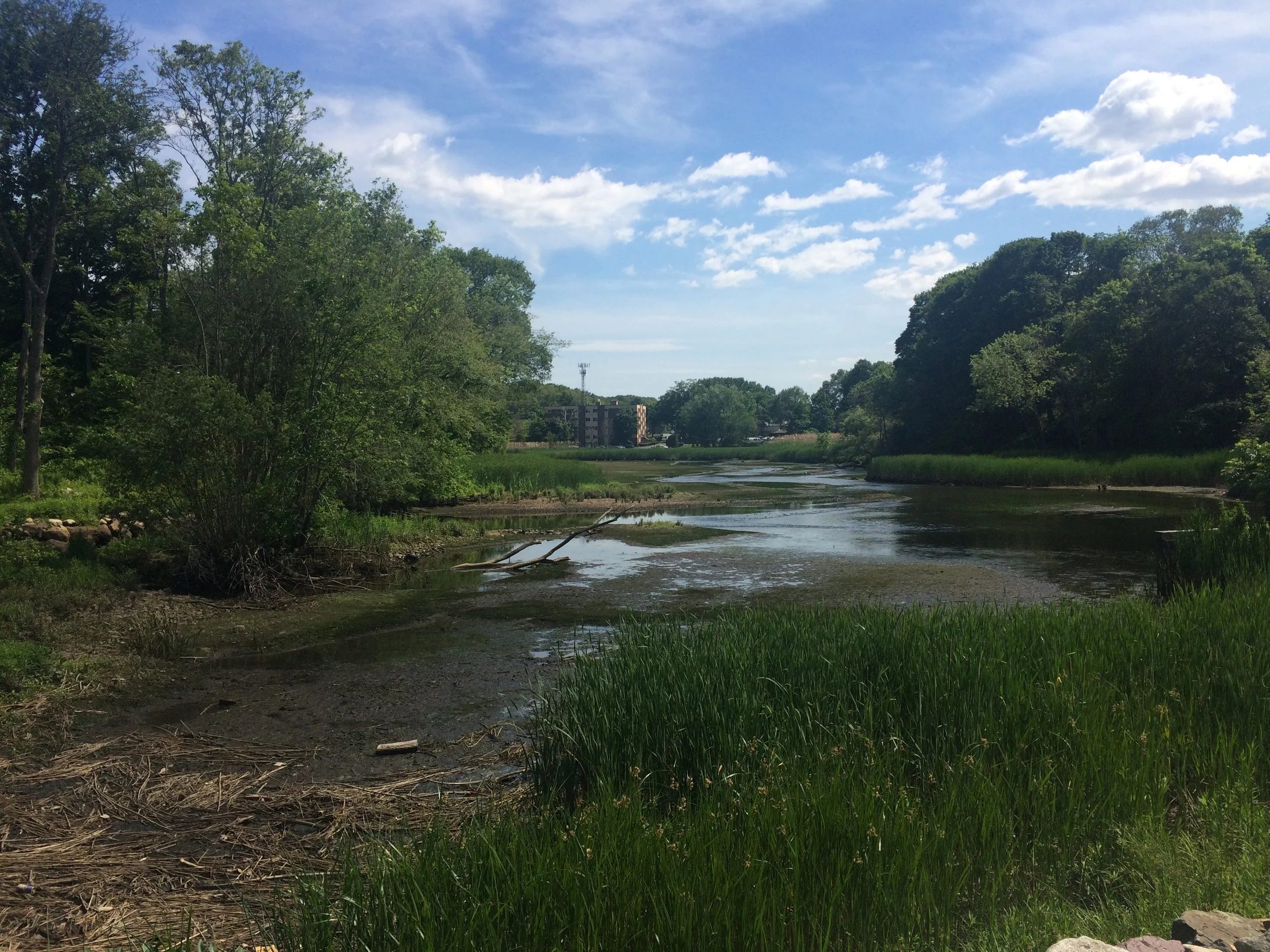 The July 2015 Playlist