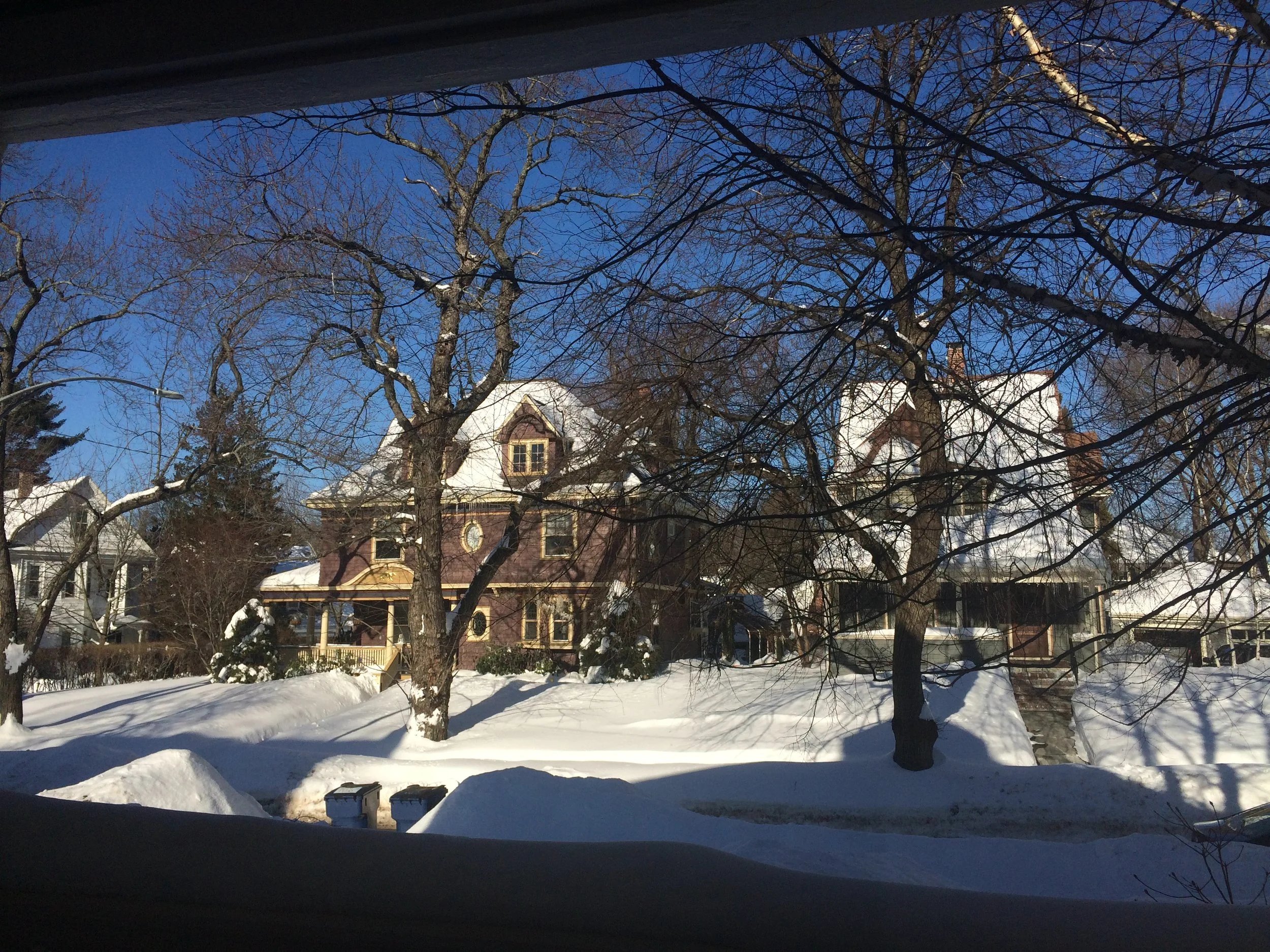 SNOWED IN!?! | Essentials for Getting Through the Winter