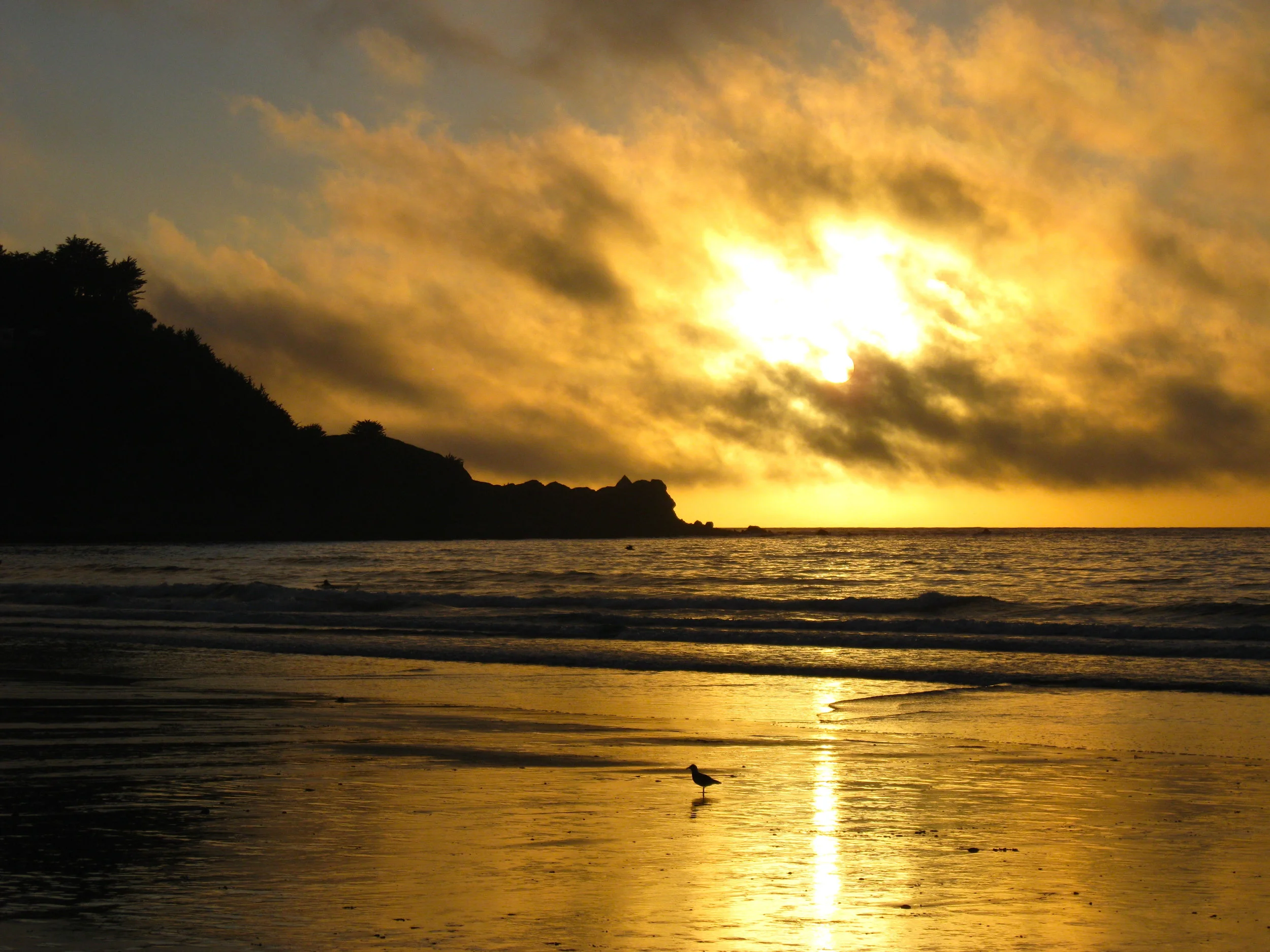 The Five on Fridays: Week 12