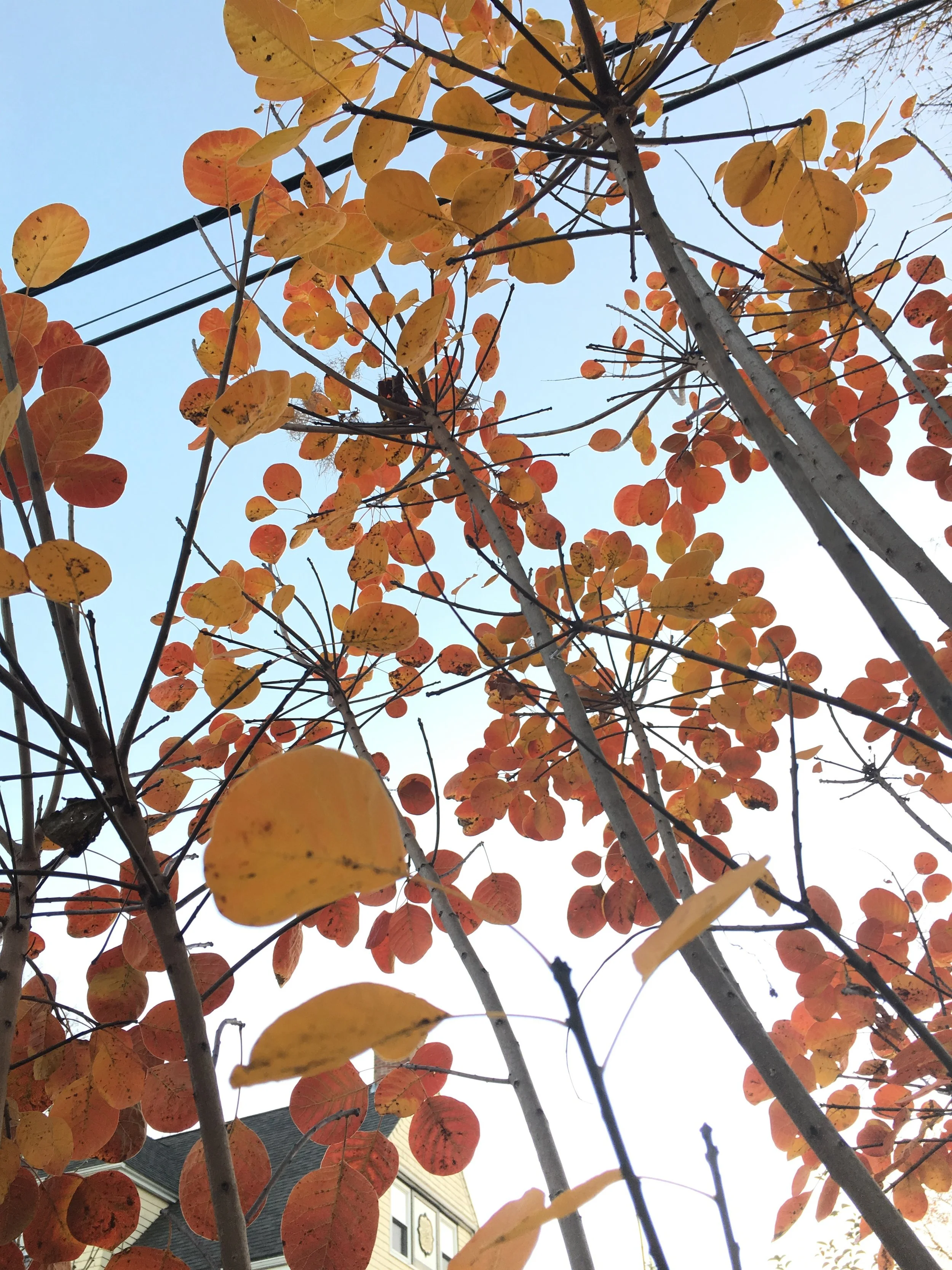 Fall 2016: The Post-Mortem