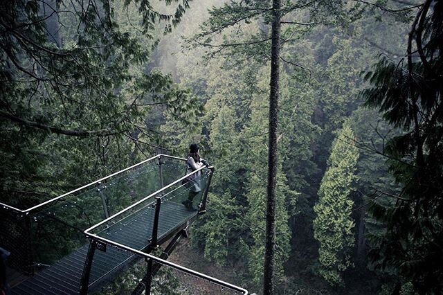 Cliff walk 冬至 意至 情至#capilanosuspensionbridge #beautifulbc🍁 #beautifulbc #naturelover #wintersolstice #wintersolstice2019