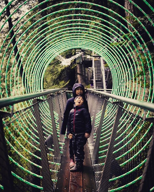 Pure magical #canyonlights #capilanosuspensionbridge #beautifulbc #christmaslights