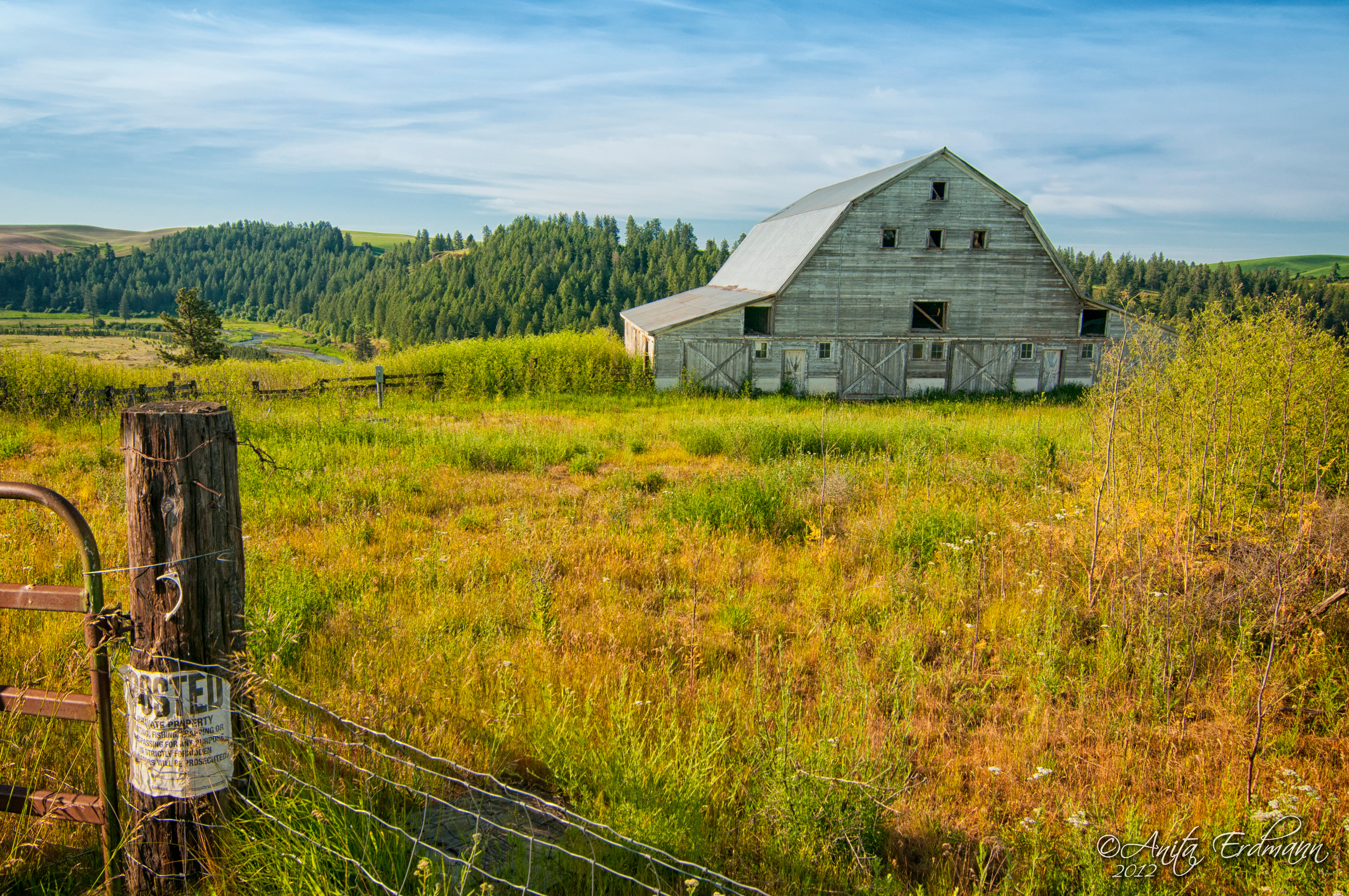 Palouse Tin Roofed Barn