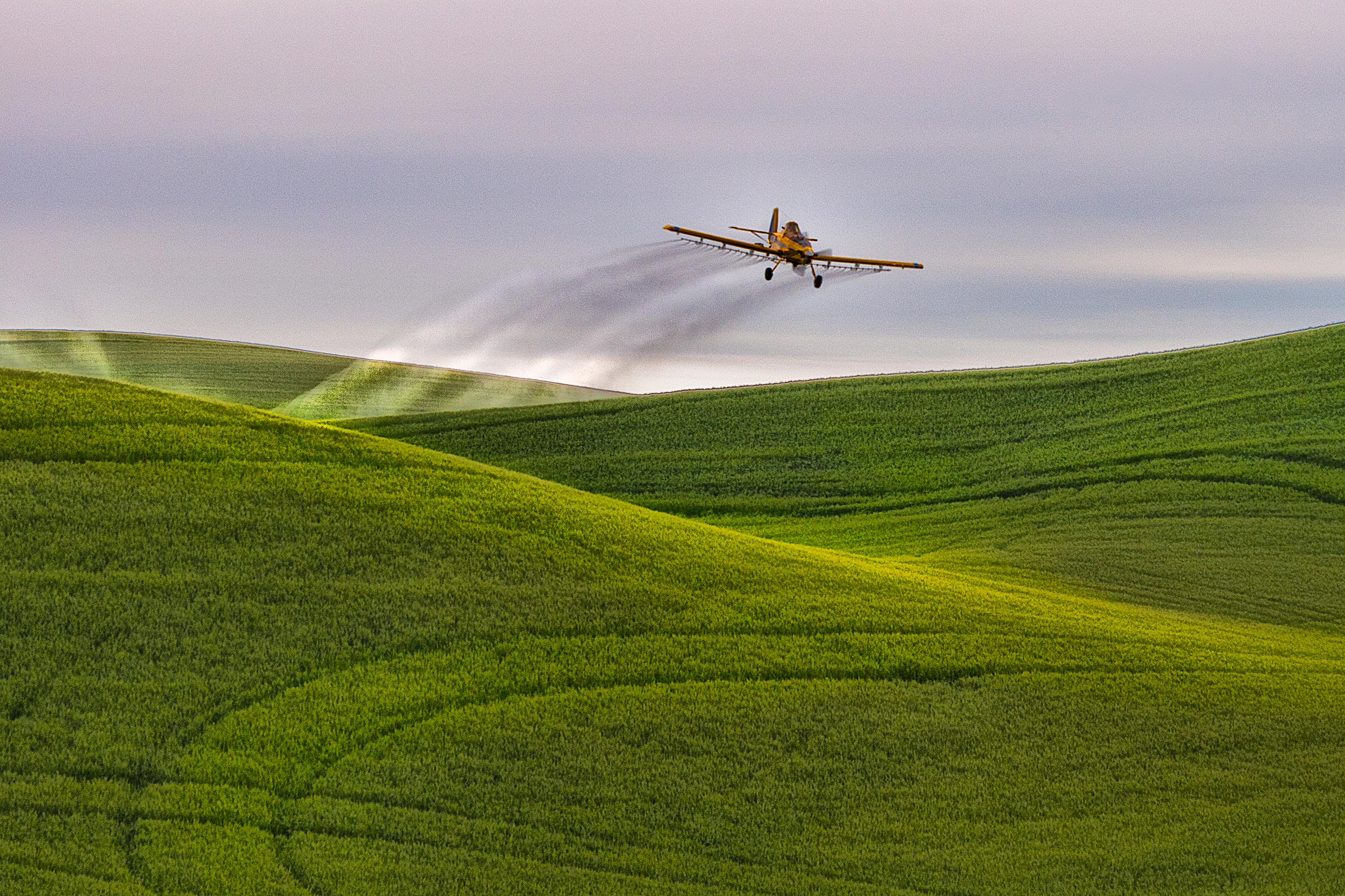 Crop Duster Palouse