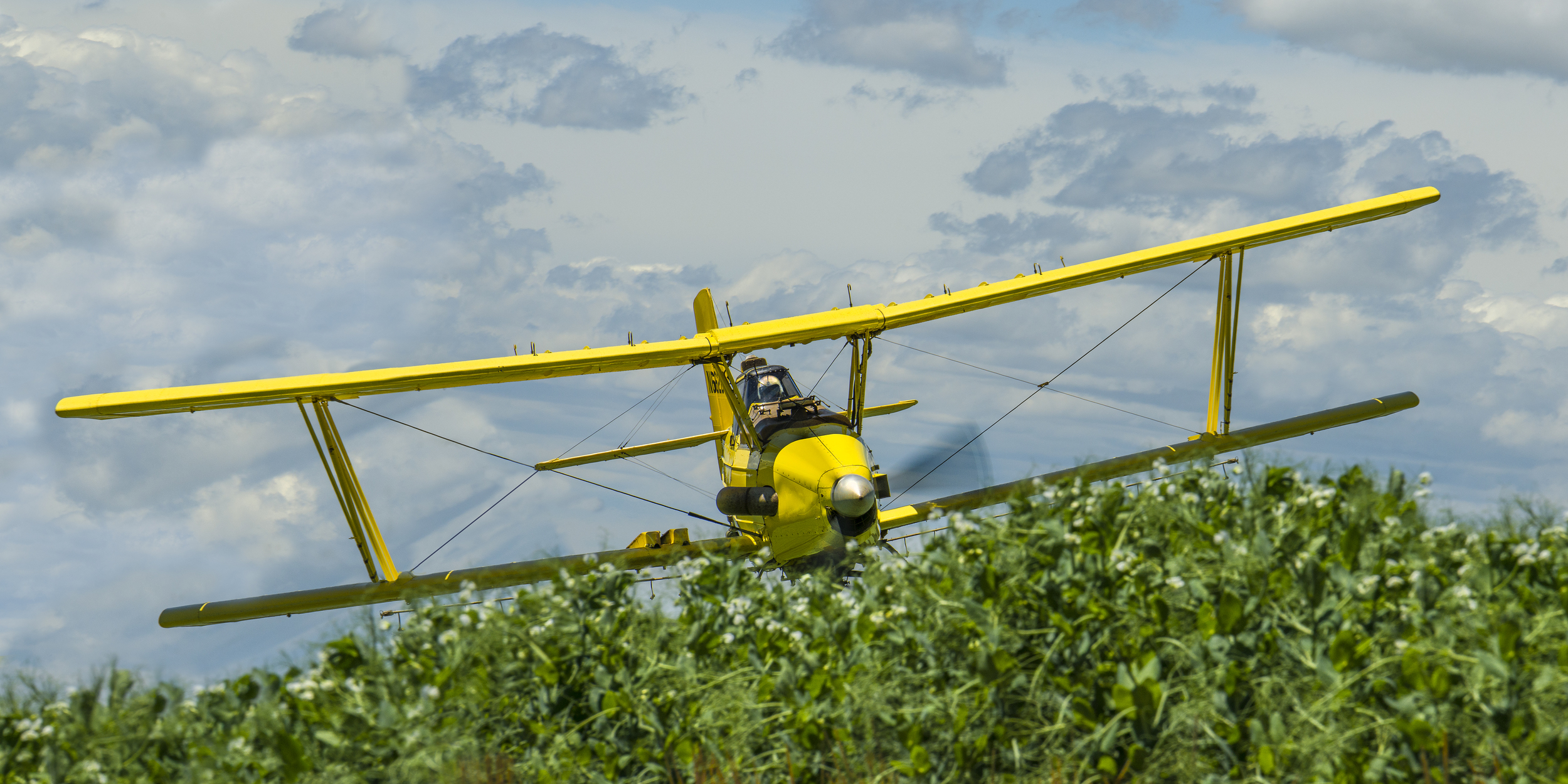 Cropduster Palouse