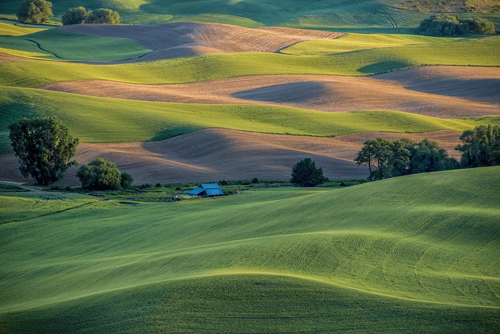 Palouse Photo Tour — Shutterbug Photo Tours