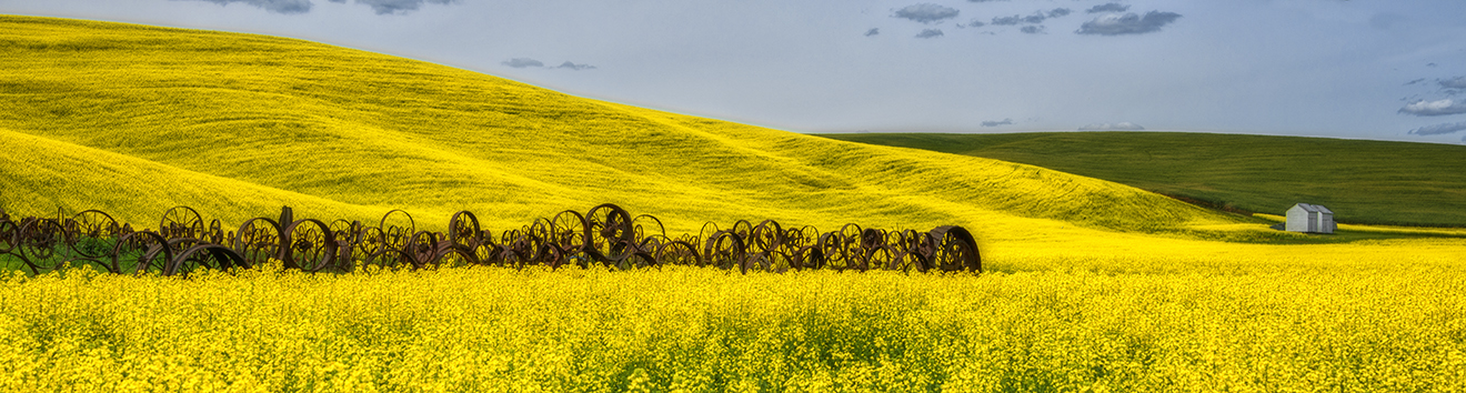 Wheeled Fence Palouse