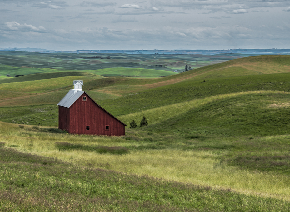 Salt Barn Palouse