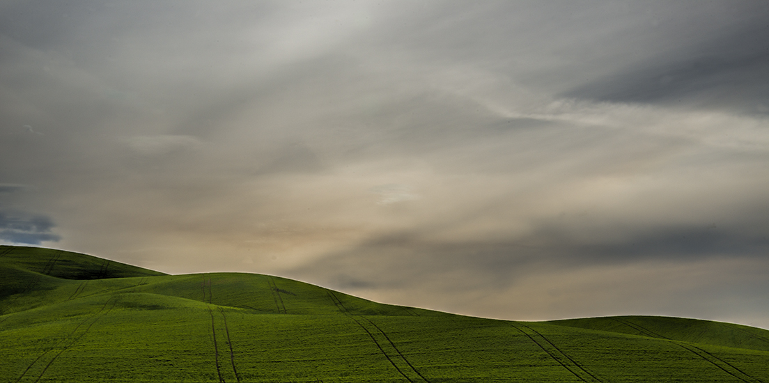 Rolling Hills Palouse