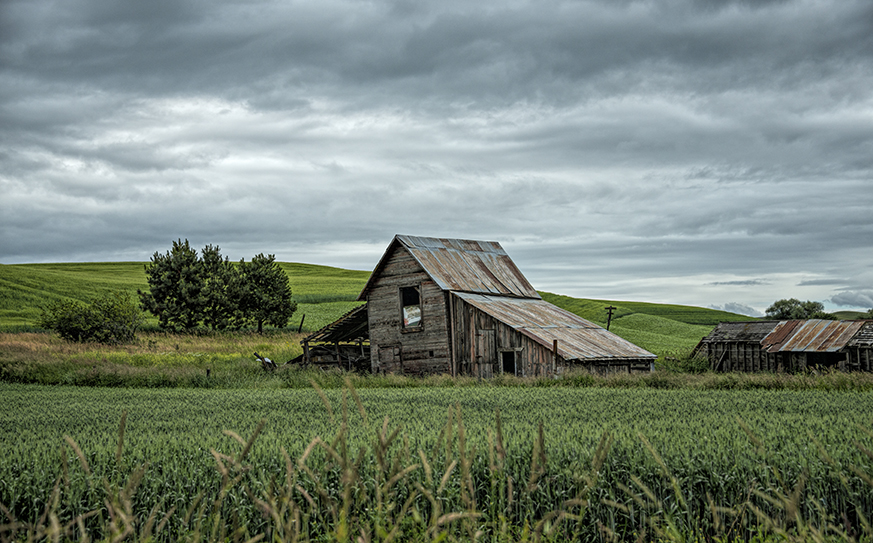 Old Barn Palouse