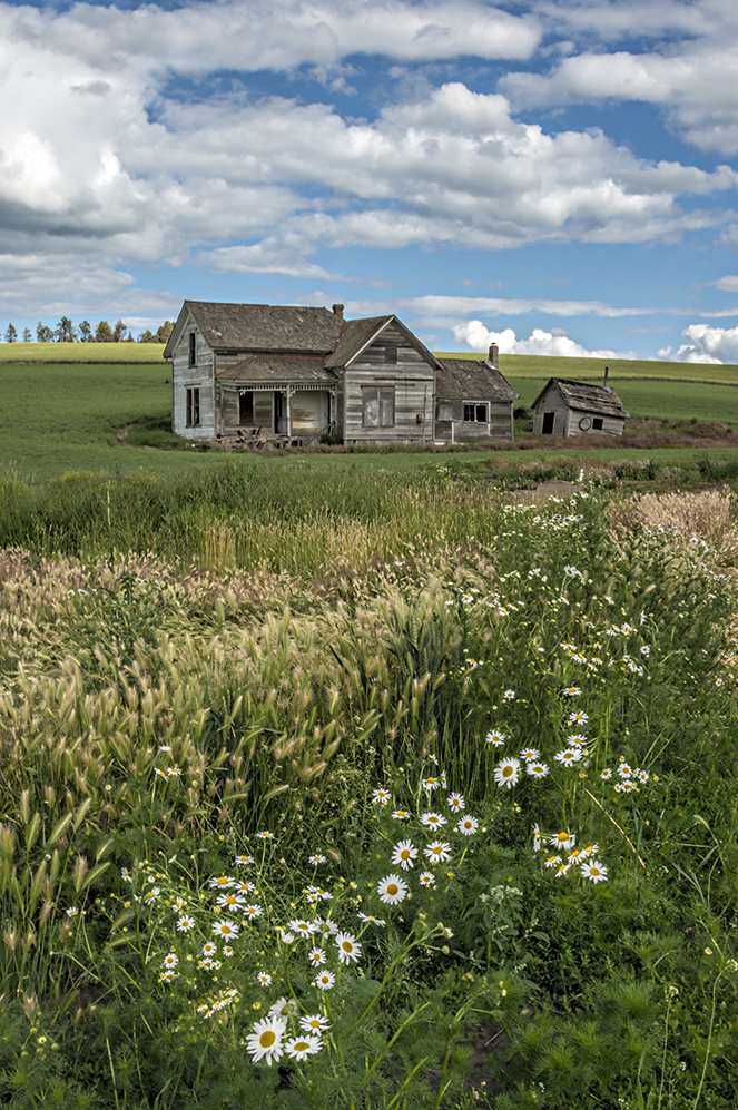 Weber Homestead Palouse