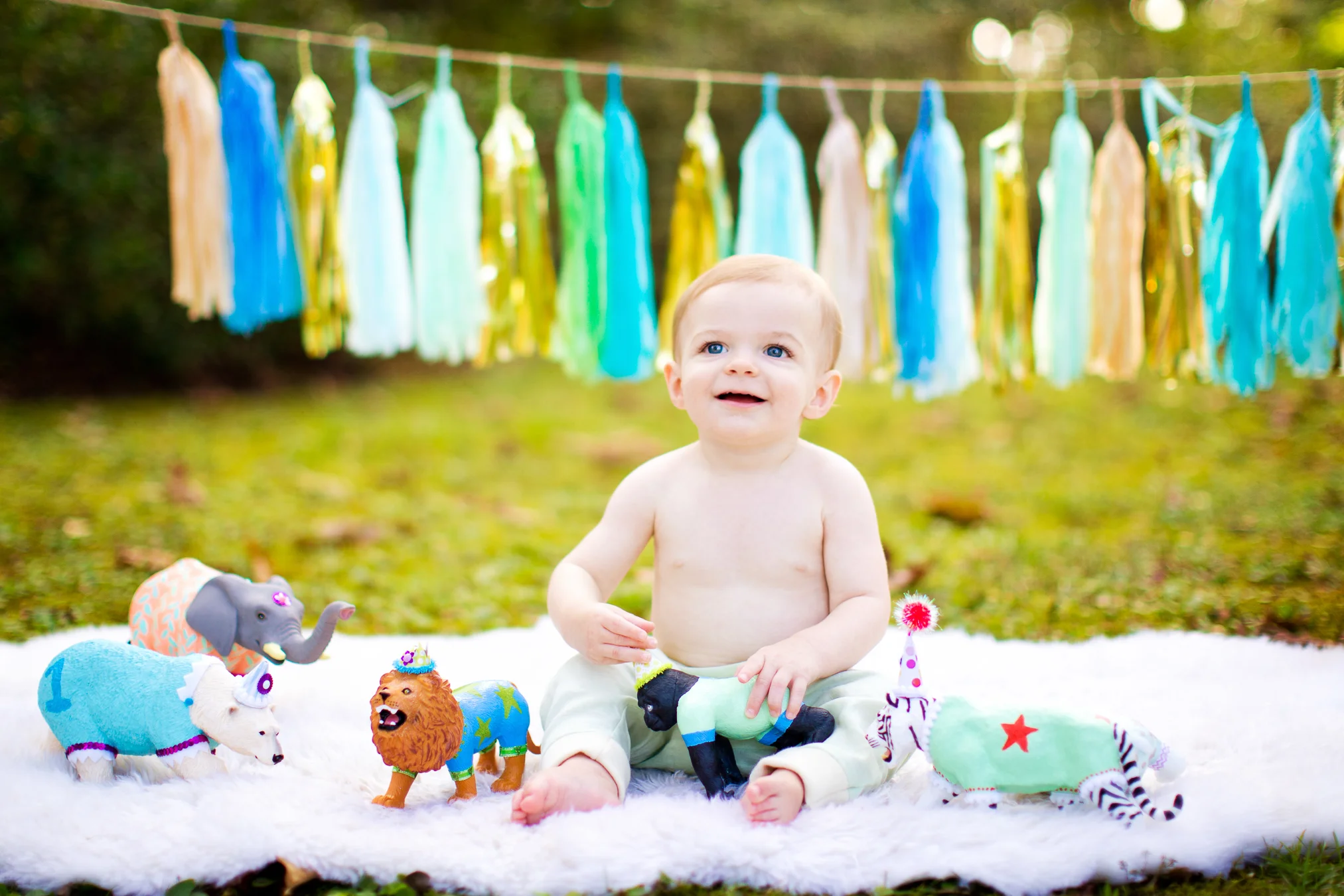 Holland Williams Photography - One Year
