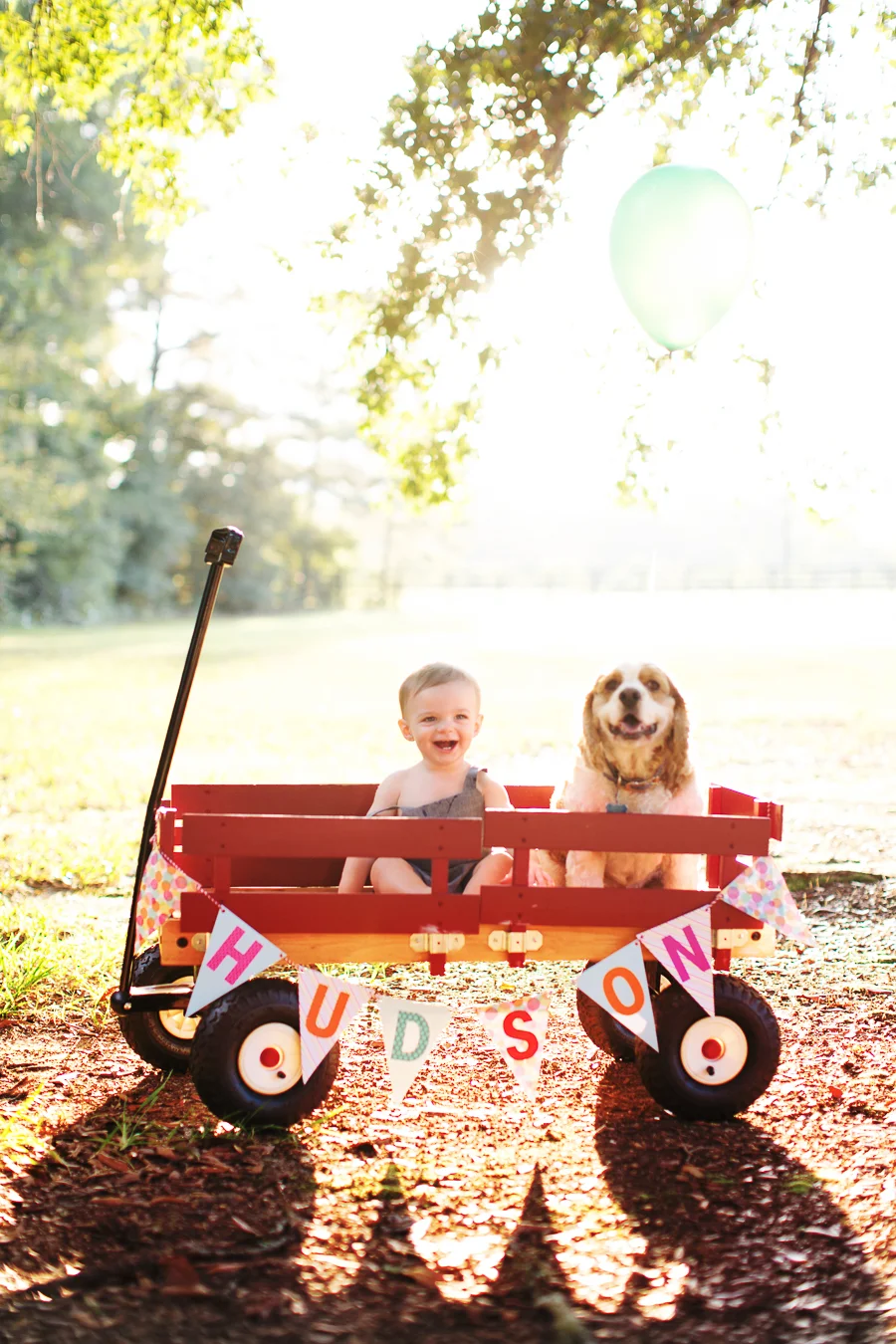 Hollands Williams Photography