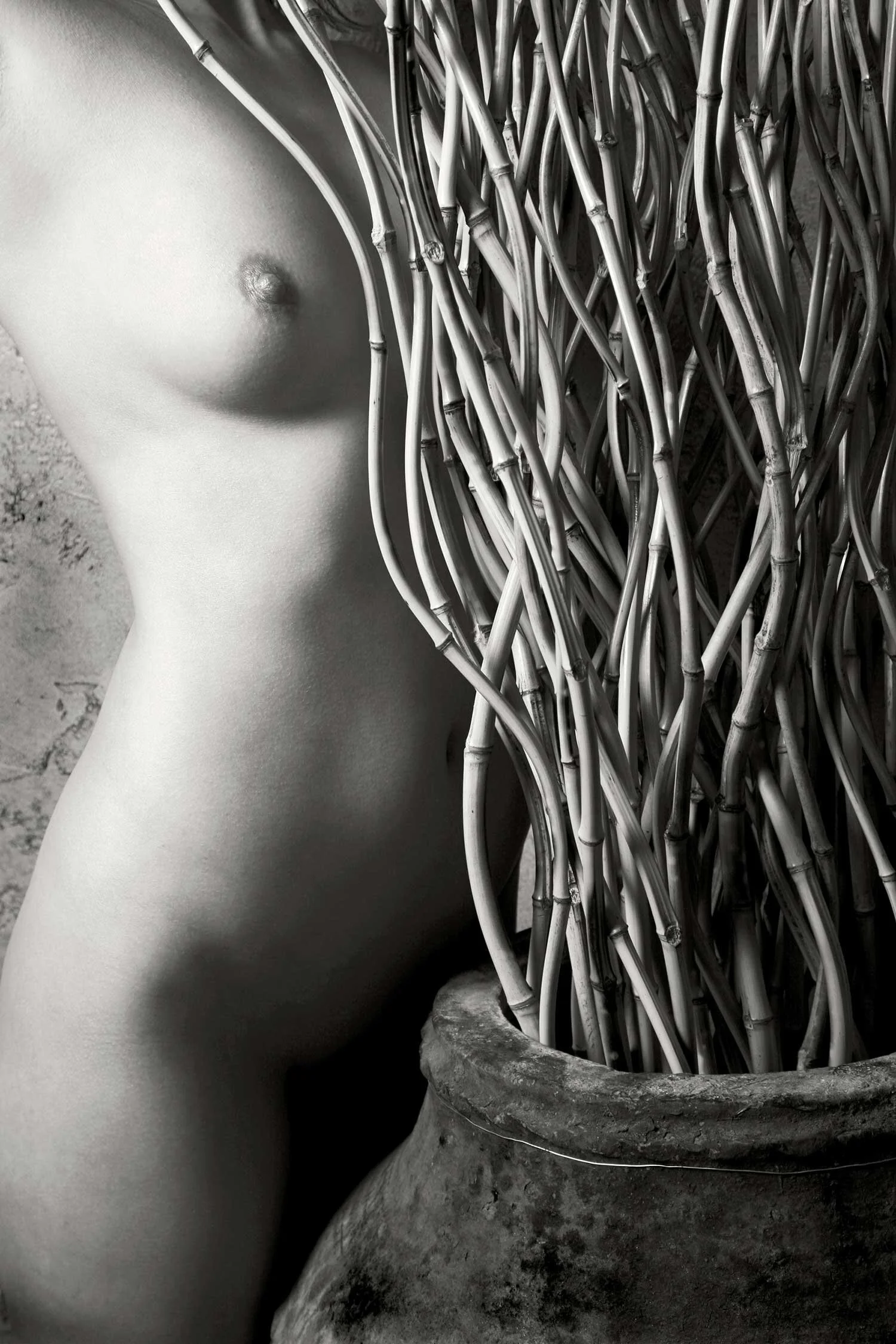 Albina with Reeds
 - 5"x7" Price Includes Shipping