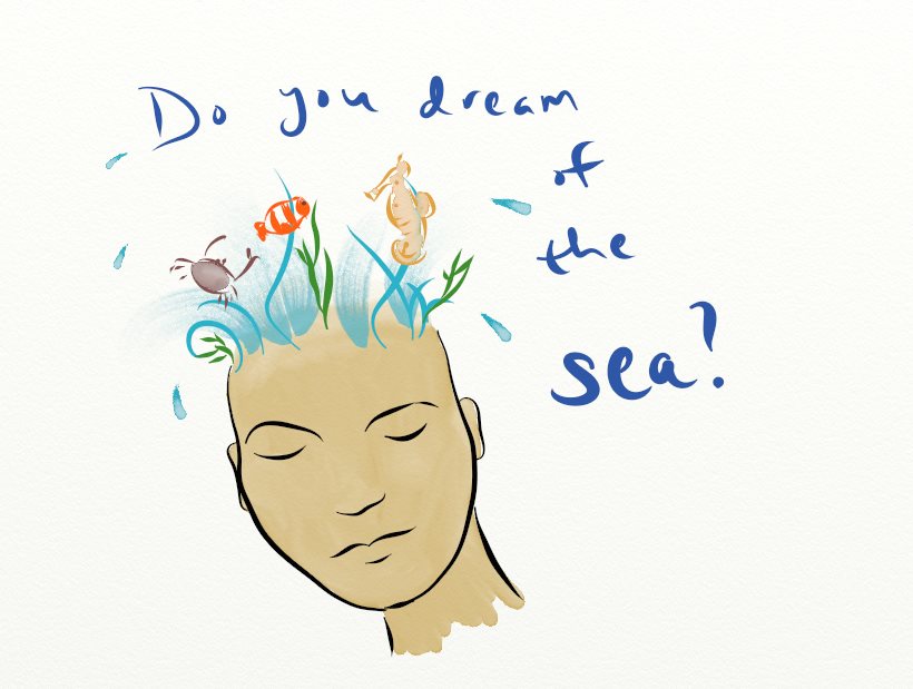 dream of sea.jpg