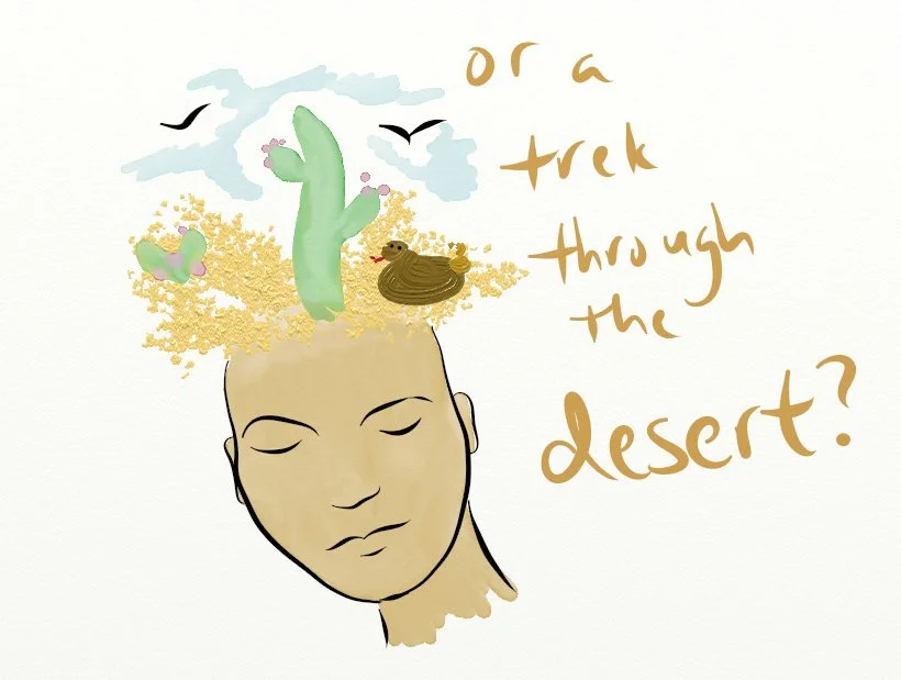 dream of desert.jpg