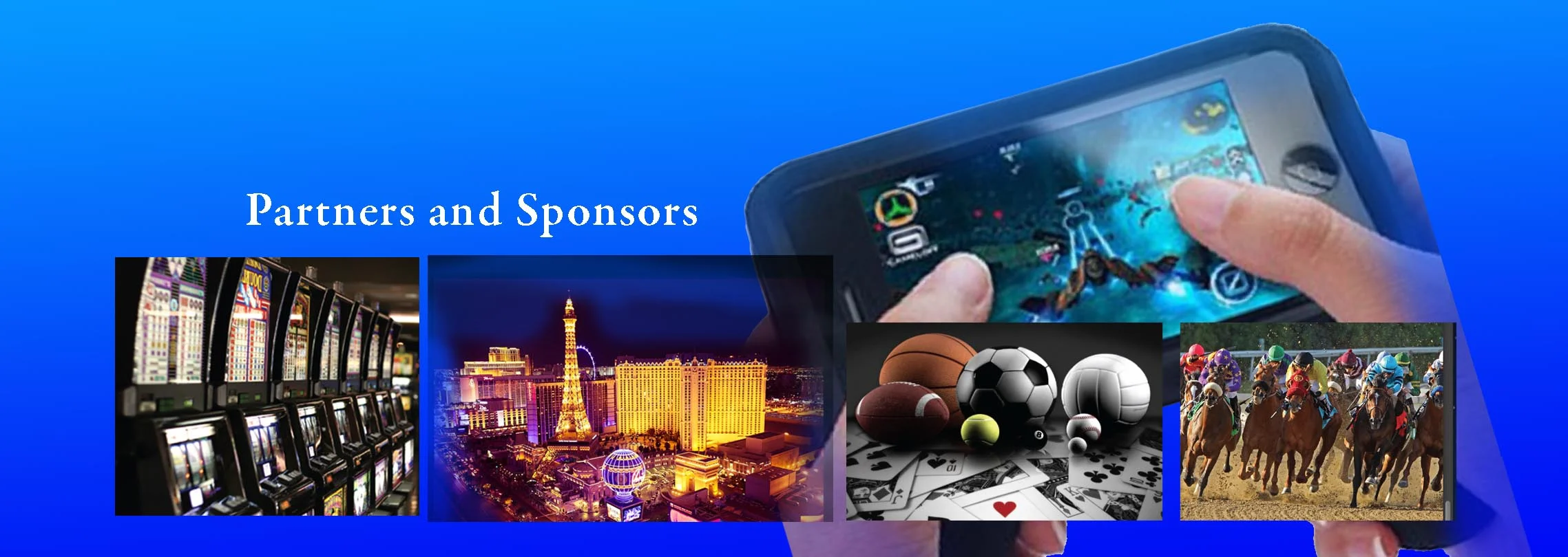 Partners and Sponsors.jpg