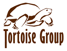 Tortoise Group.png