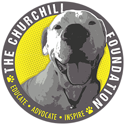 Churchill Foundation.png