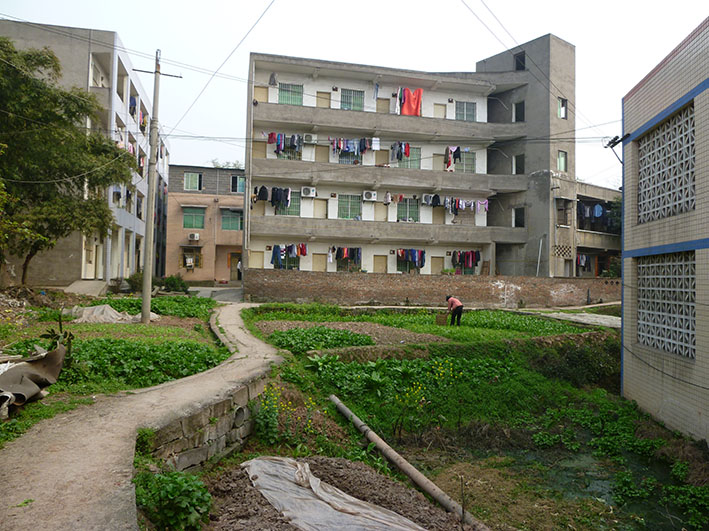 A living transect of Hailong Village, showing the intersection of agricultural, industrial, and residential uses