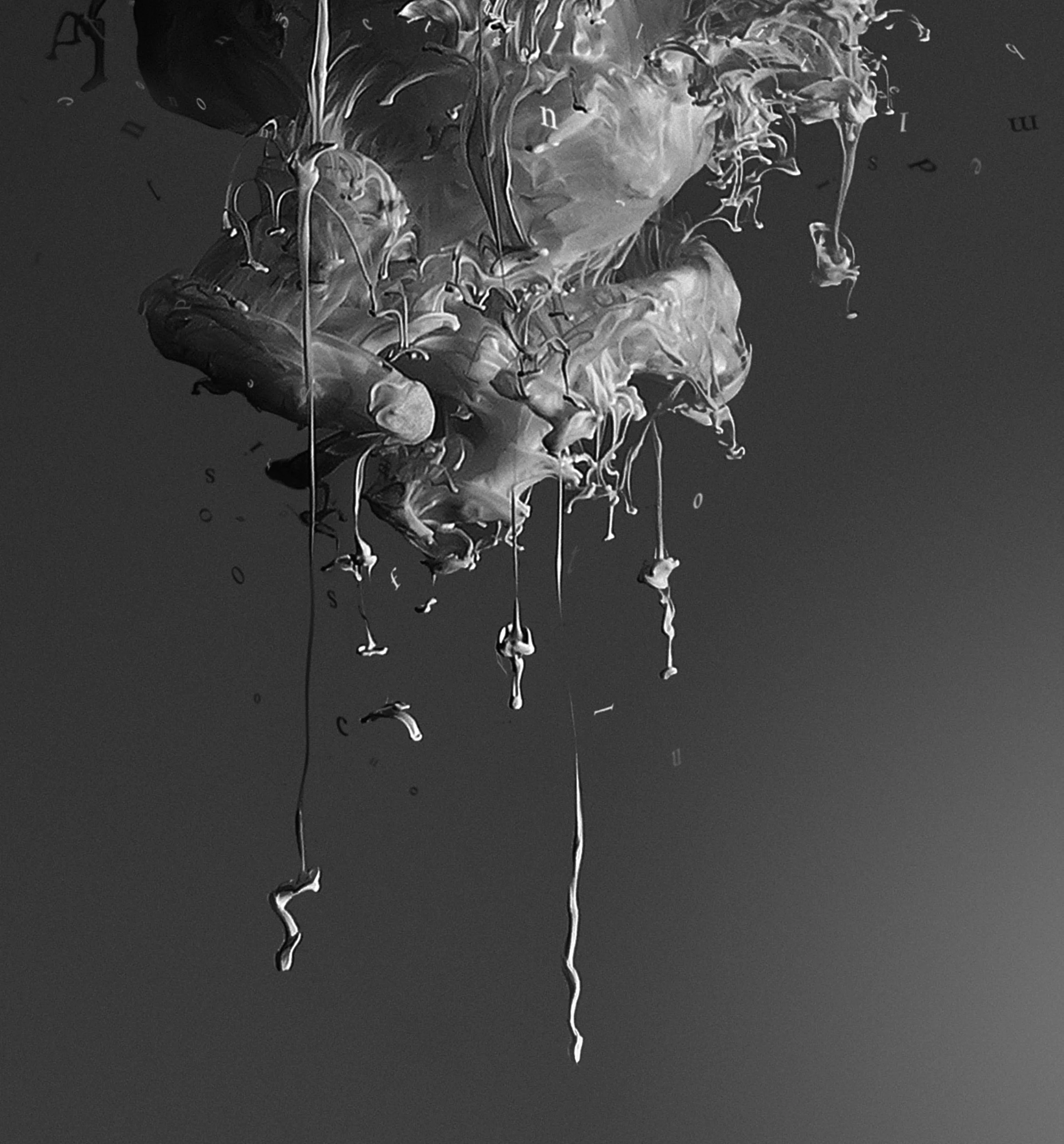 Form Minus Function 4d.jpg