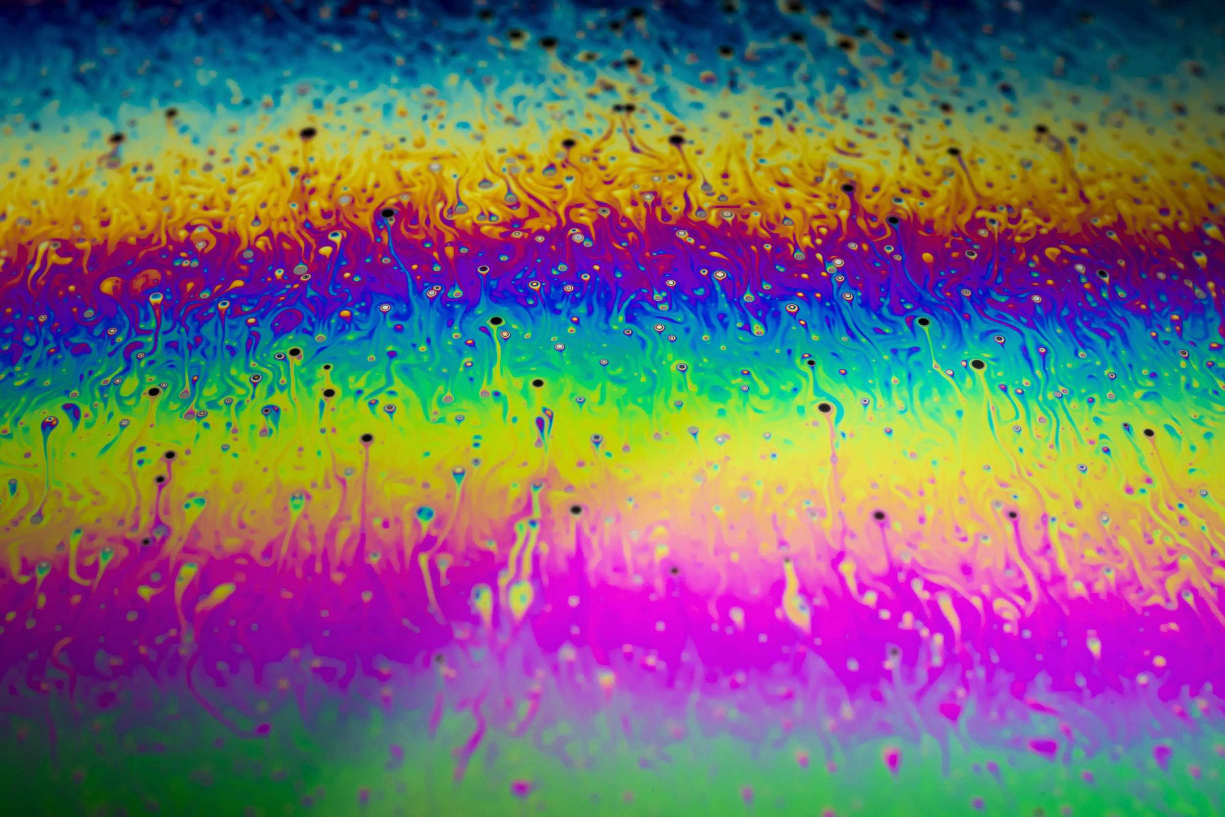 _DSC0083.jpg