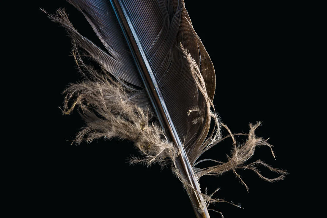 _DSC5337.jpg