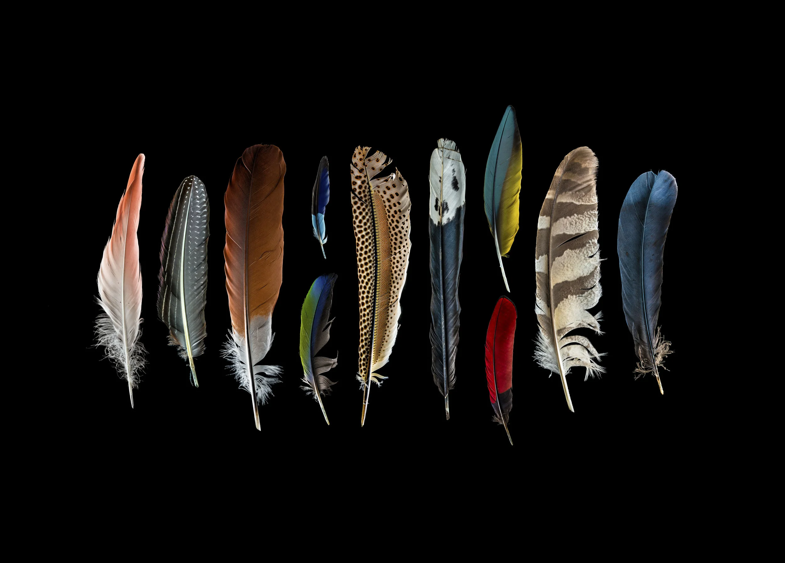 Flight_1.jpg