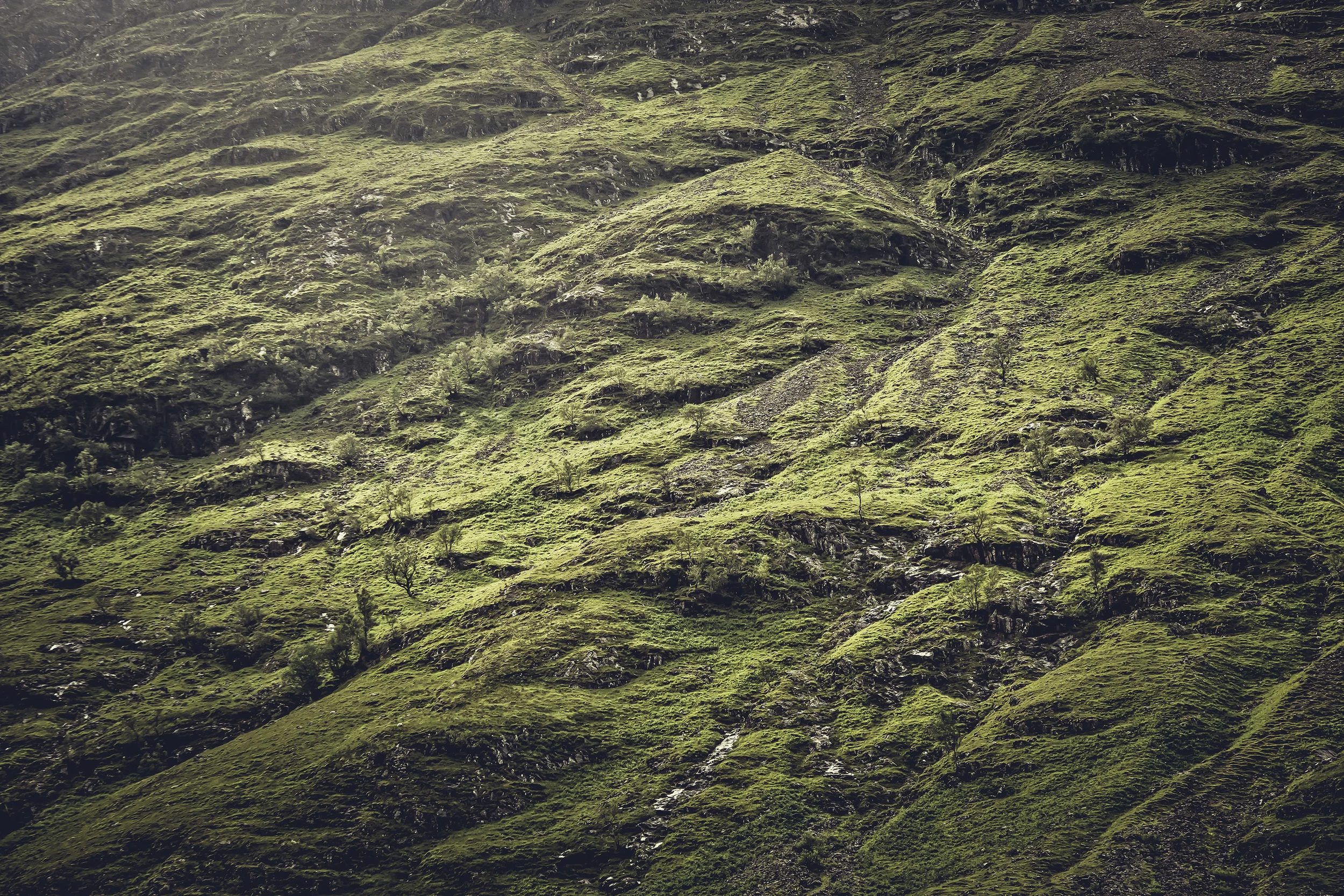  Scottish Highlands 