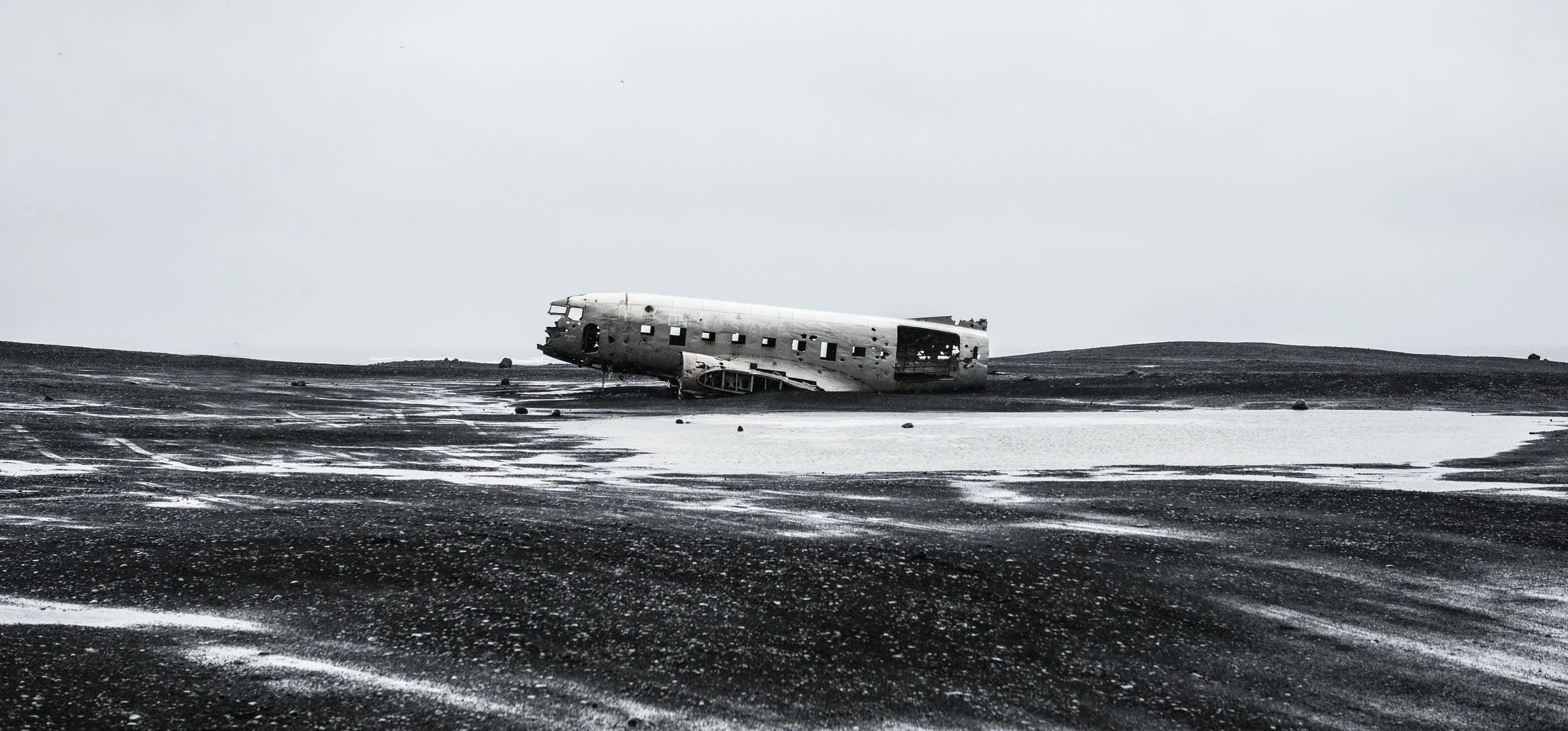 DSC_7339.jpg