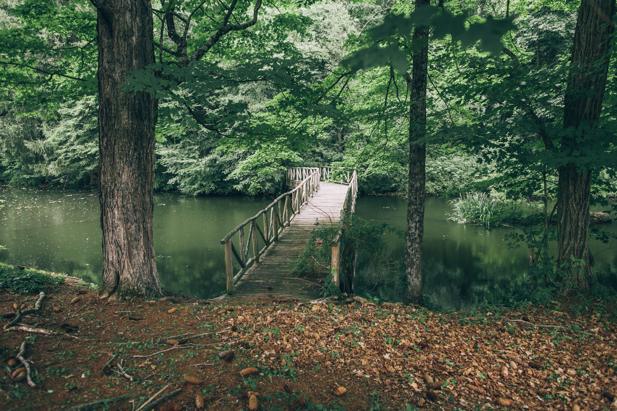 Bridge.jpg