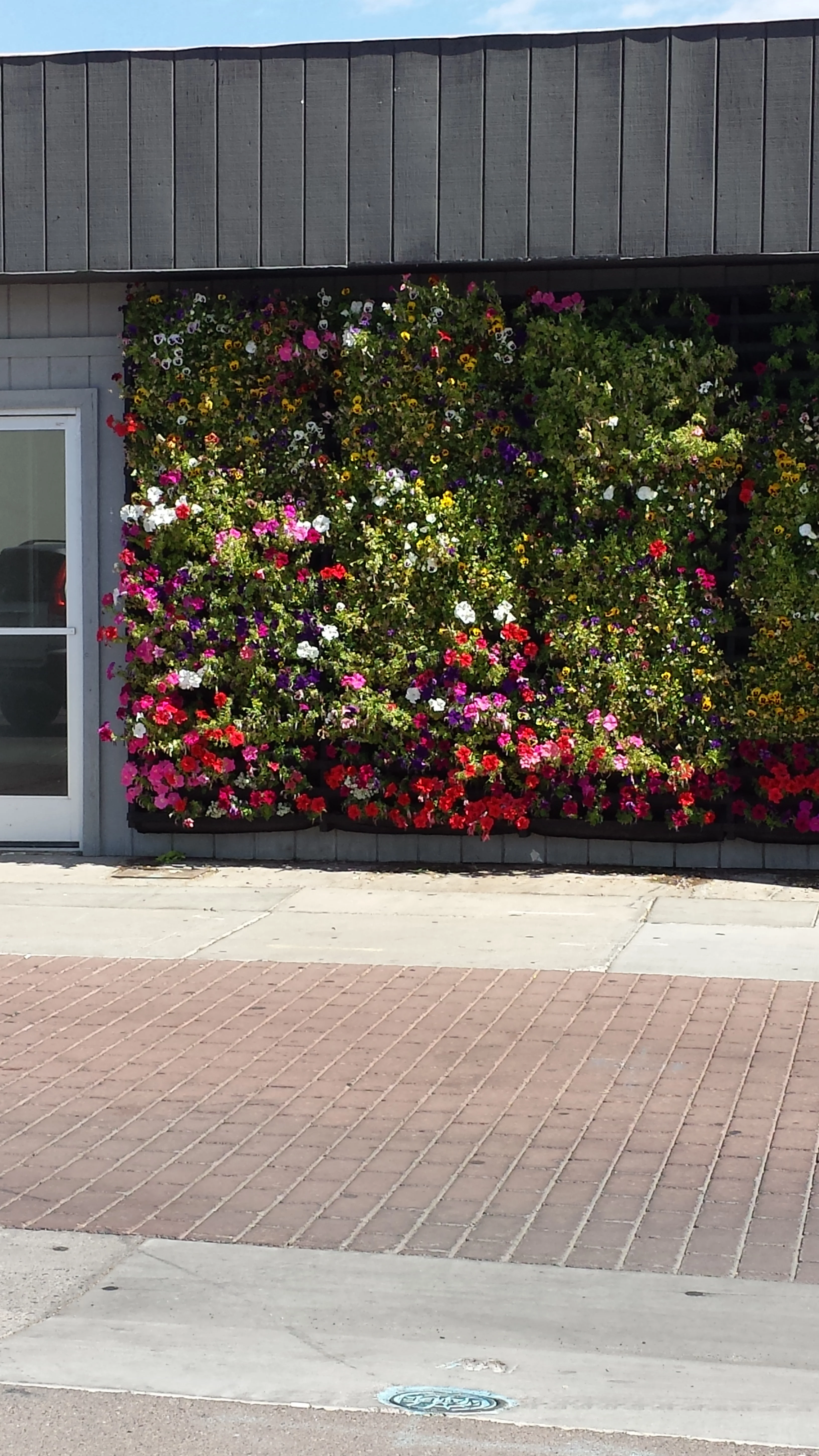20150502_095637.jpg