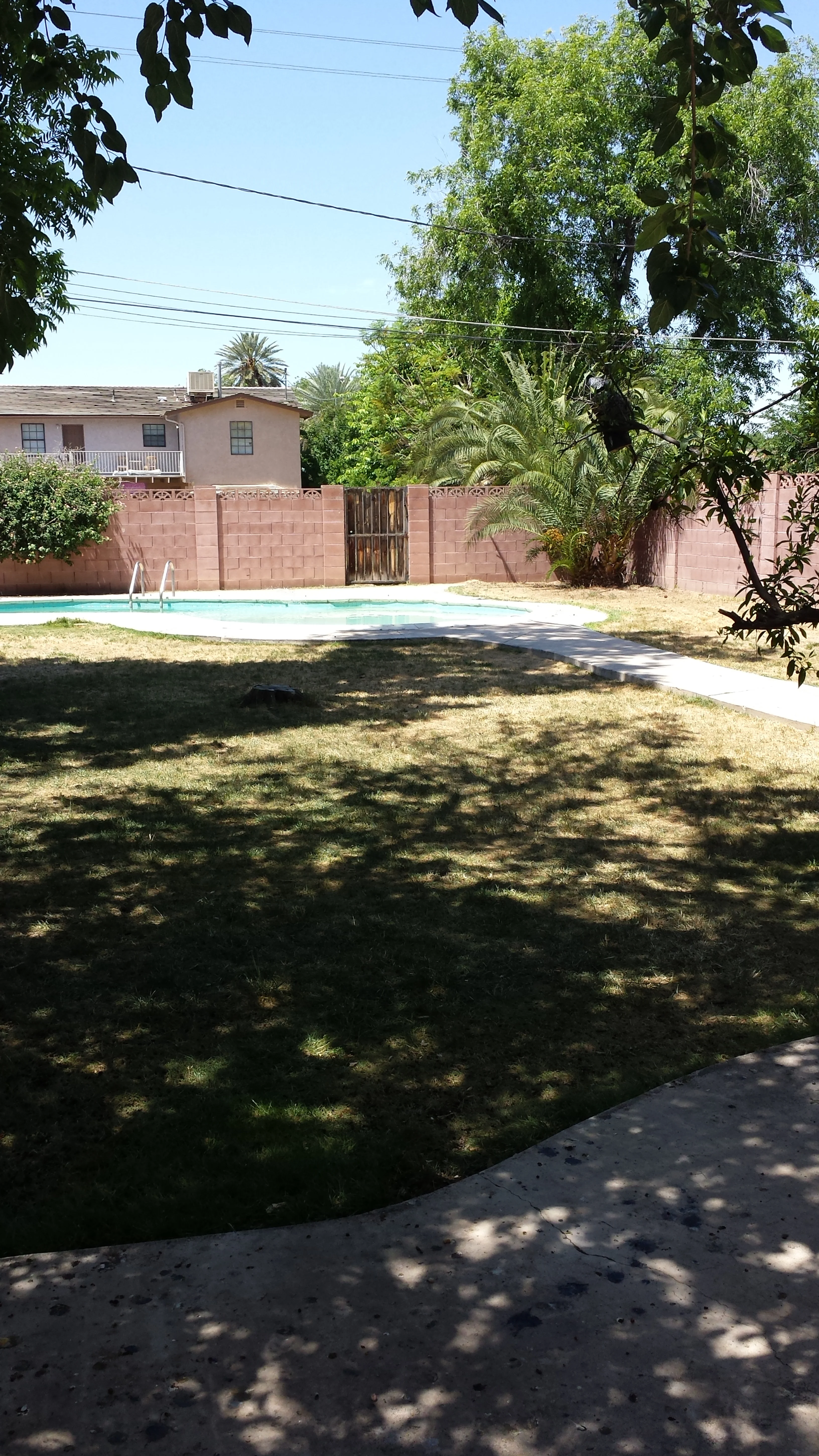 20150502_115002.jpg