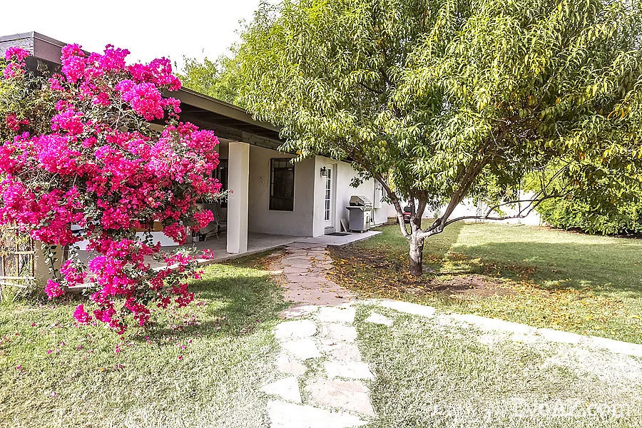 backyard2.jpg